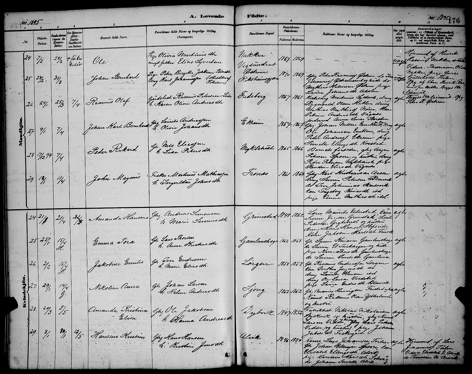 Ministerialprotokoller, klokkerbøker og fødselsregistre - Møre og Romsdal, AV/SAT-A-1454/528/L0431: Parish register (copy) no. 528C12, 1885-1898, p. 176