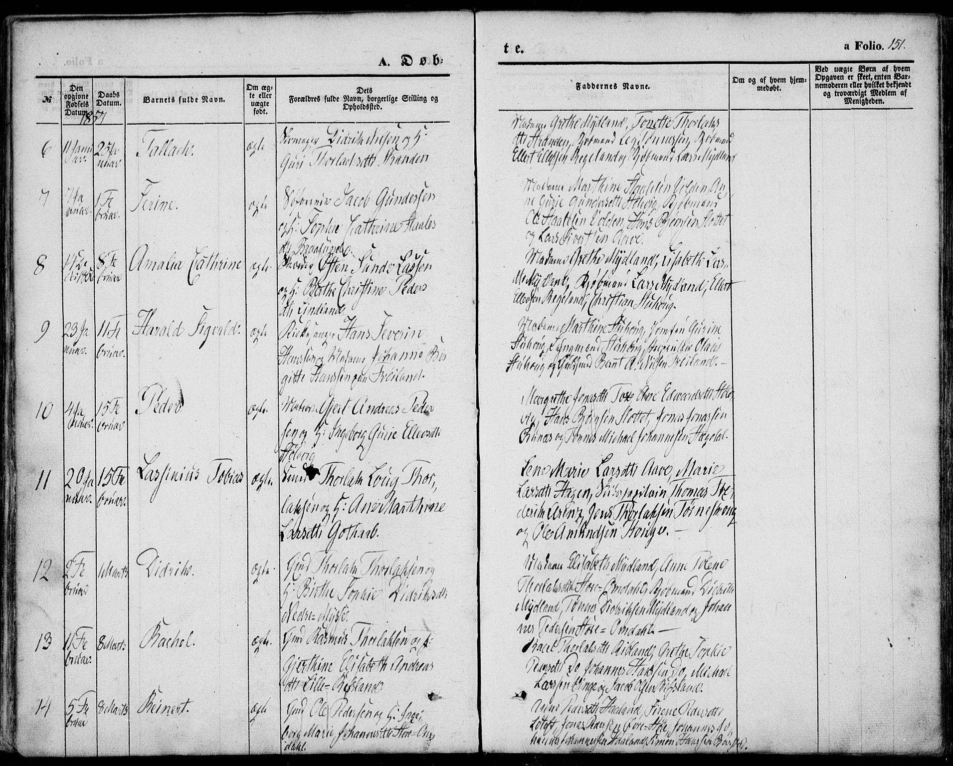 Sokndal sokneprestkontor, AV/SAST-A-101808: Parish register (official) no. A 8.1, 1842-1857, p. 151