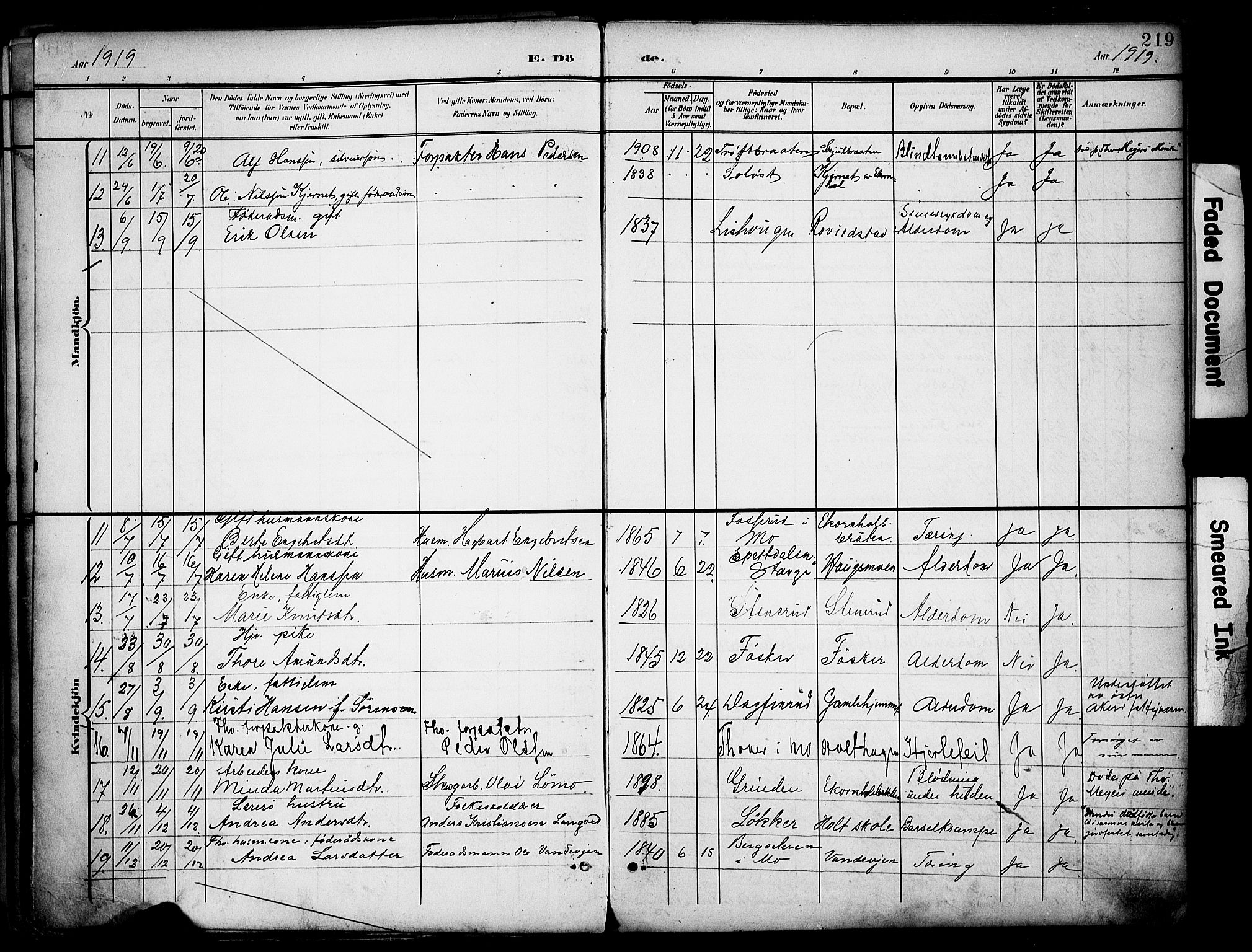 Nord-Odal prestekontor, SAH/PREST-032/H/Ha/Haa/L0007: Parish register (official) no. 7, 1902-1926, p. 219