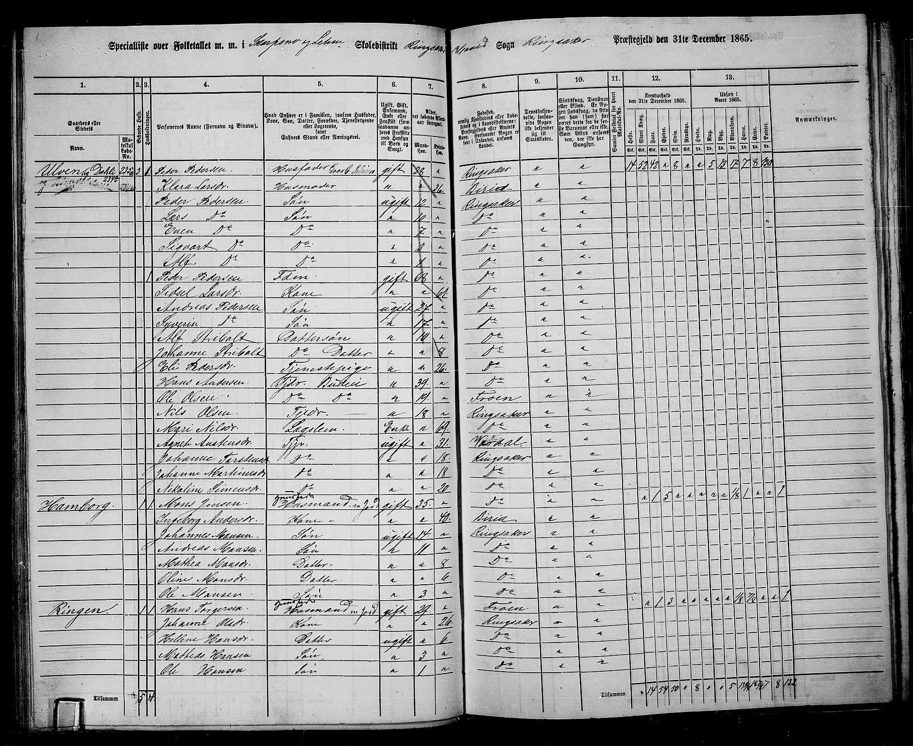 RA, 1865 census for Ringsaker, 1865, p. 129