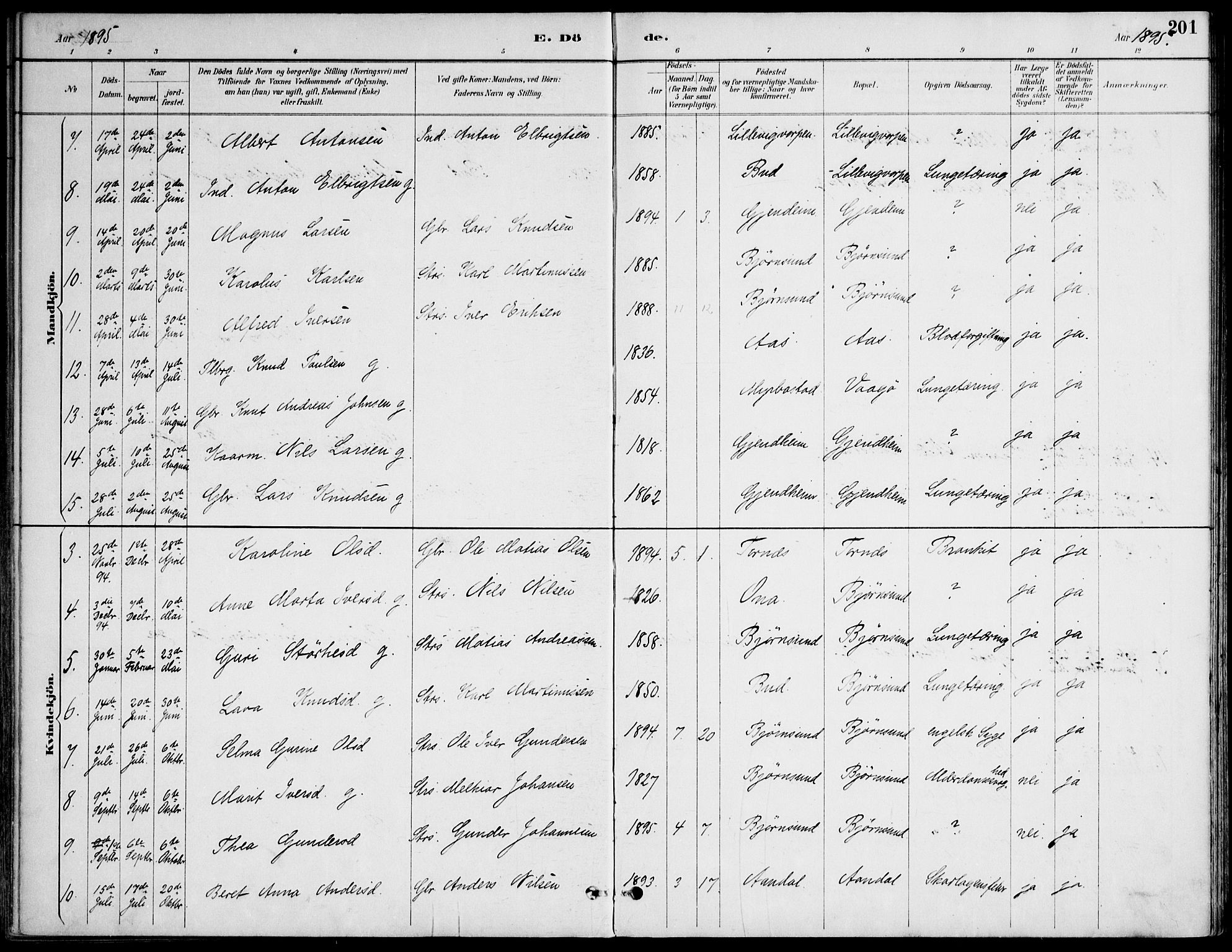 Ministerialprotokoller, klokkerbøker og fødselsregistre - Møre og Romsdal, AV/SAT-A-1454/565/L0750: Parish register (official) no. 565A04, 1887-1905, p. 201