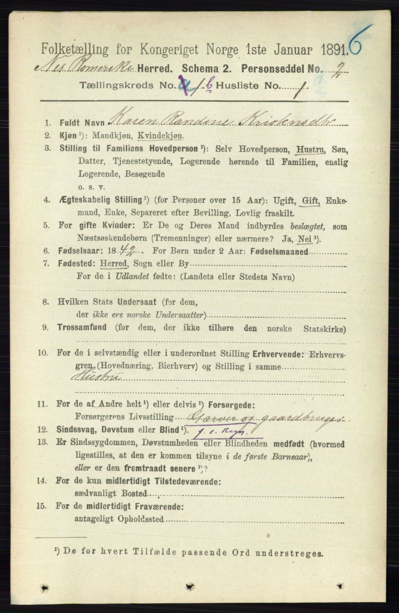 RA, 1891 census for 0236 Nes, 1891, p. 711