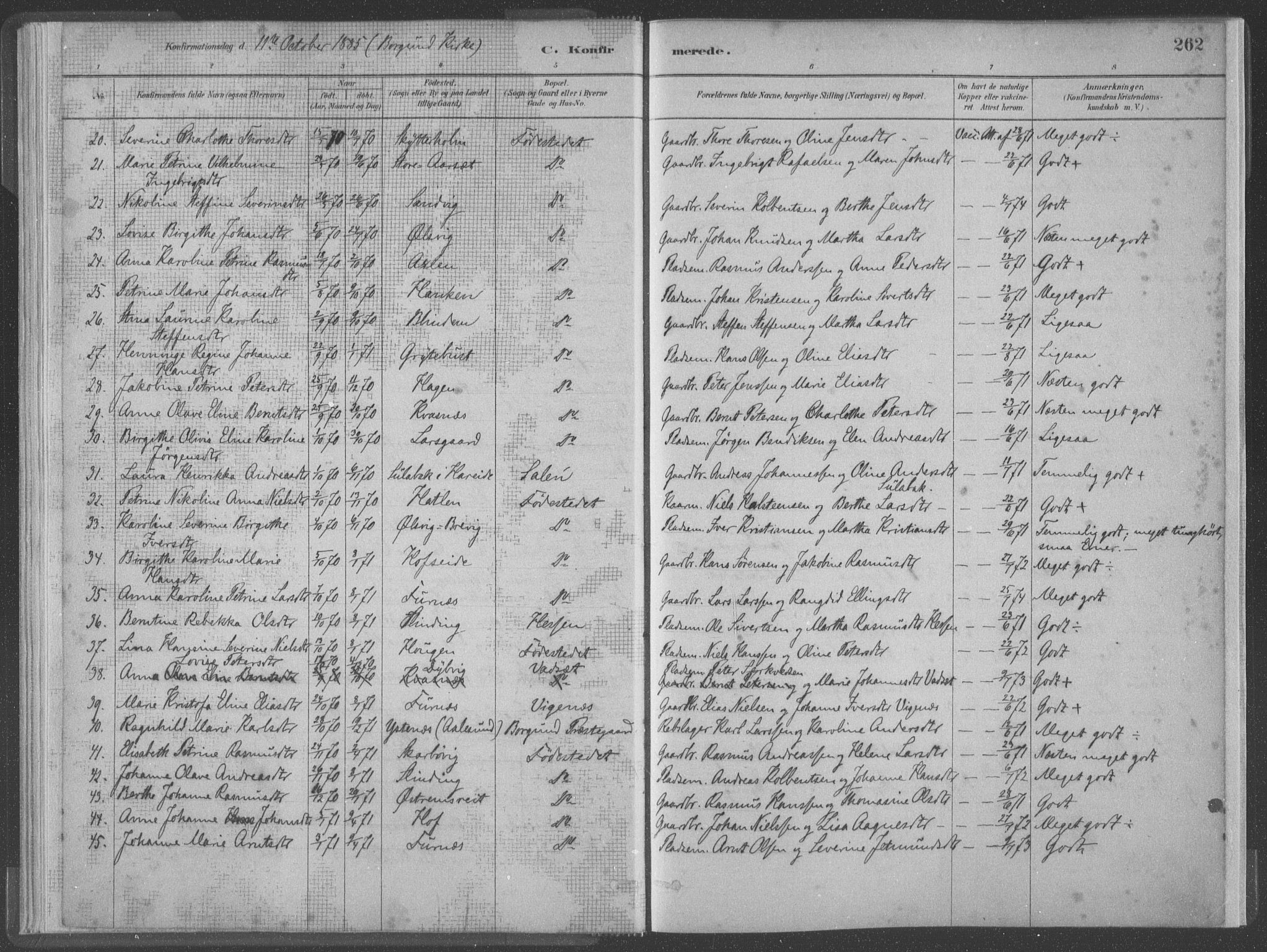 Ministerialprotokoller, klokkerbøker og fødselsregistre - Møre og Romsdal, AV/SAT-A-1454/528/L0402: Parish register (official) no. 528A12II, 1880-1903, p. 262