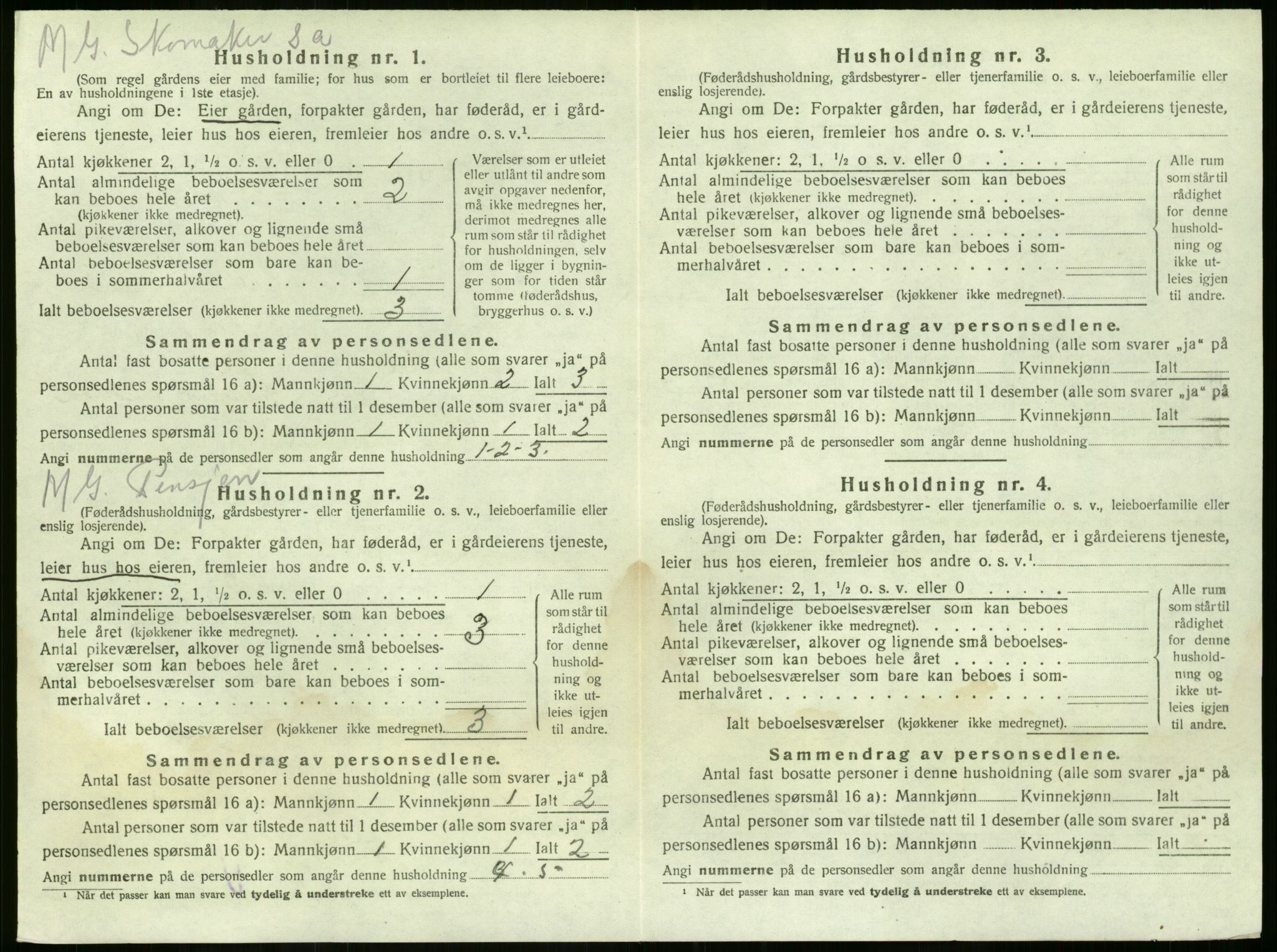 SAKO, 1920 census for Nøtterøy, 1920, p. 1724