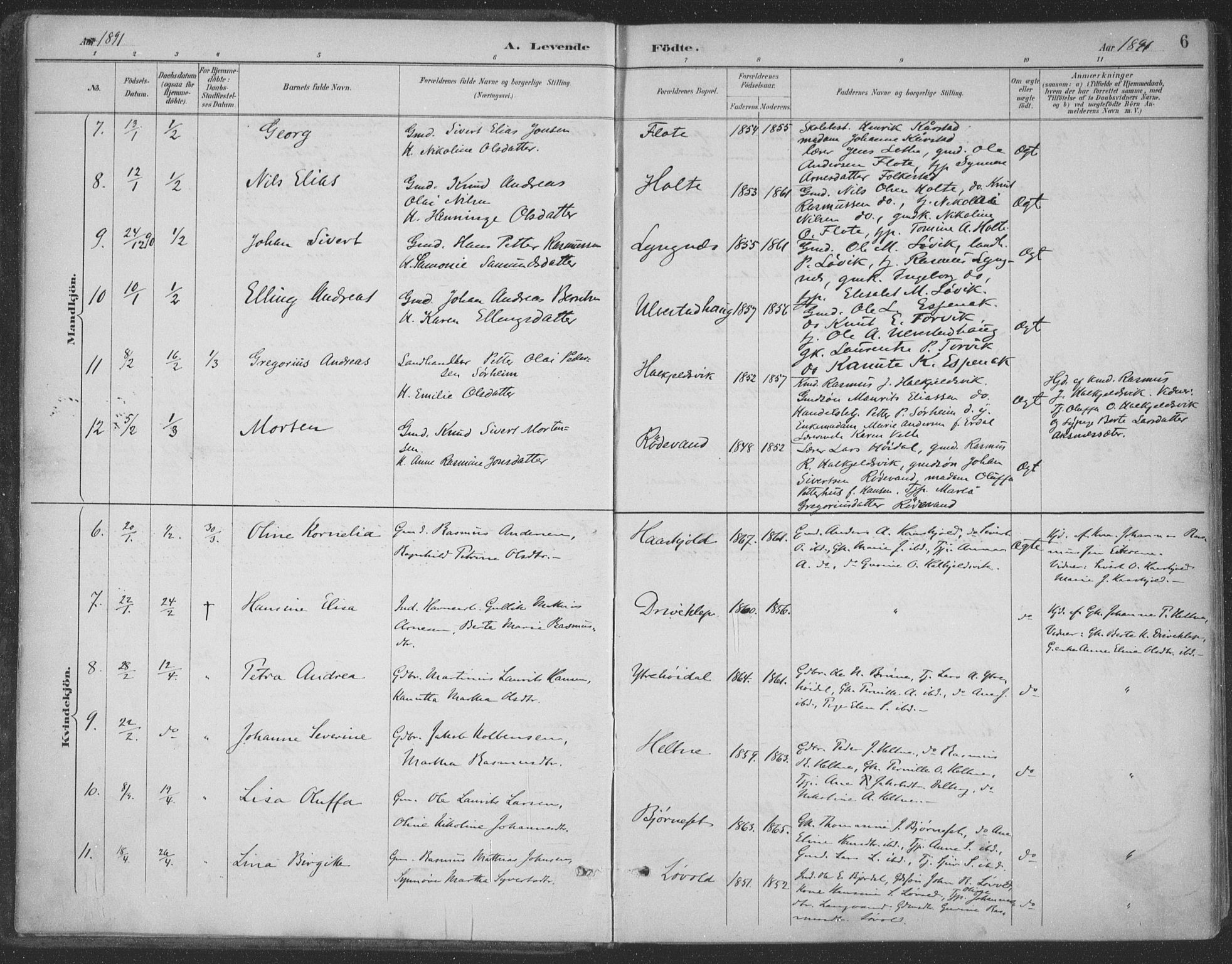 Ministerialprotokoller, klokkerbøker og fødselsregistre - Møre og Romsdal, AV/SAT-A-1454/511/L0142: Parish register (official) no. 511A09, 1891-1905, p. 6