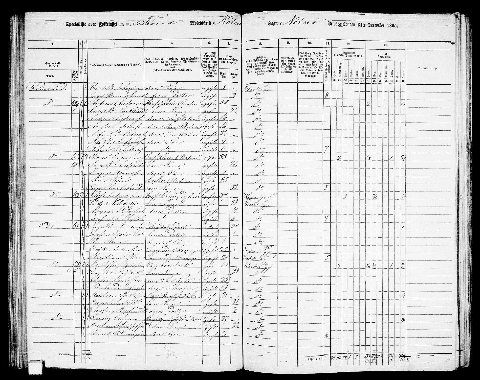 RA, 1865 census for Nøtterøy, 1865, p. 115