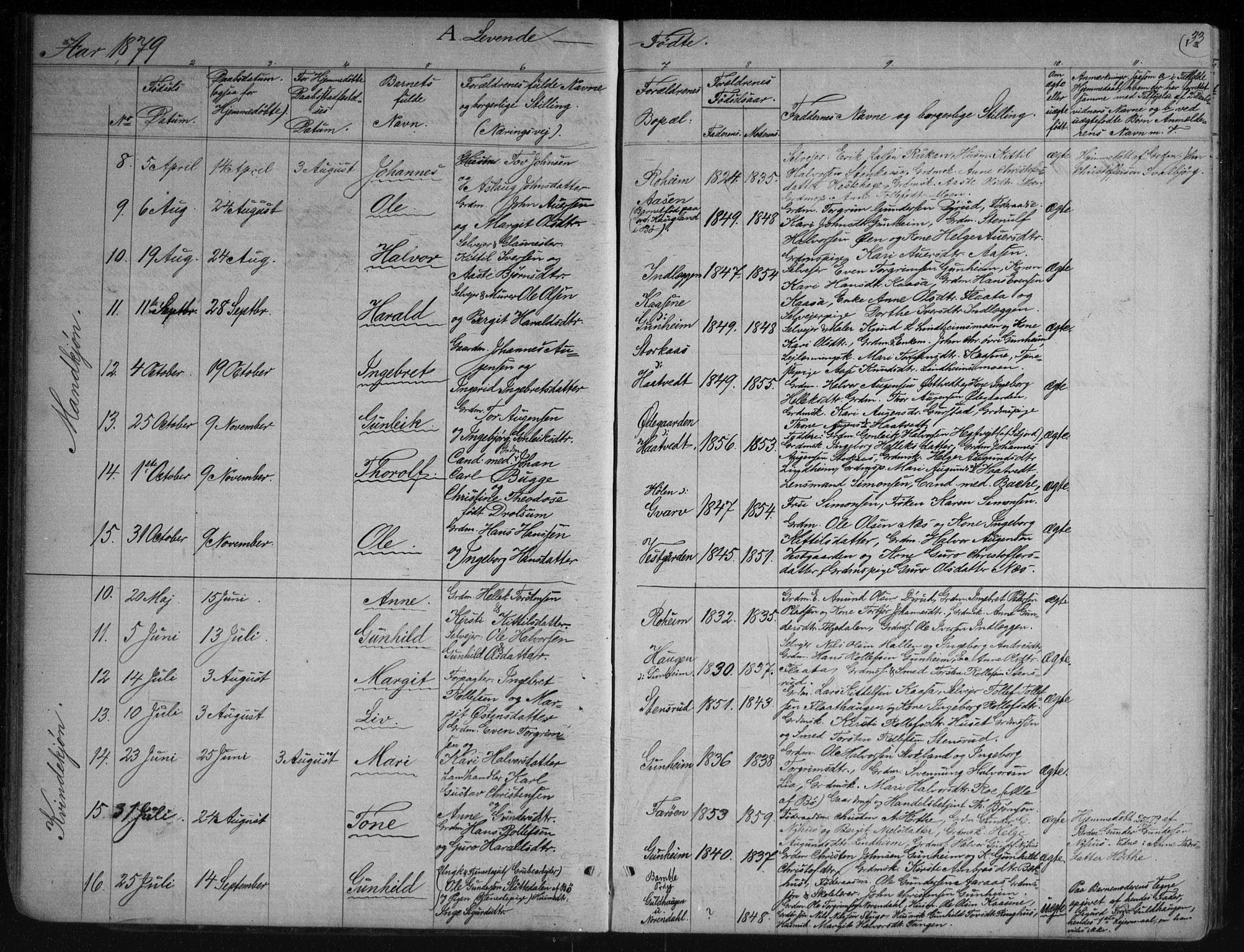 Sauherad kirkebøker, AV/SAKO-A-298/G/Gb/L0002: Parish register (copy) no. II 2, 1866-1897, p. 33