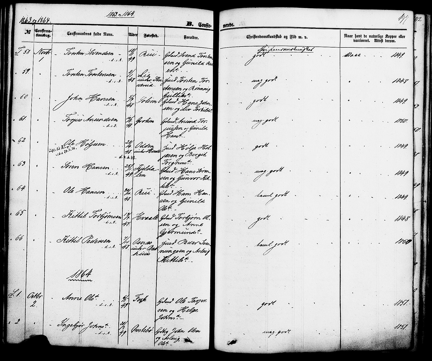 Hjartdal kirkebøker, SAKO/A-270/F/Fa/L0009: Parish register (official) no. I 9, 1860-1879, p. 197