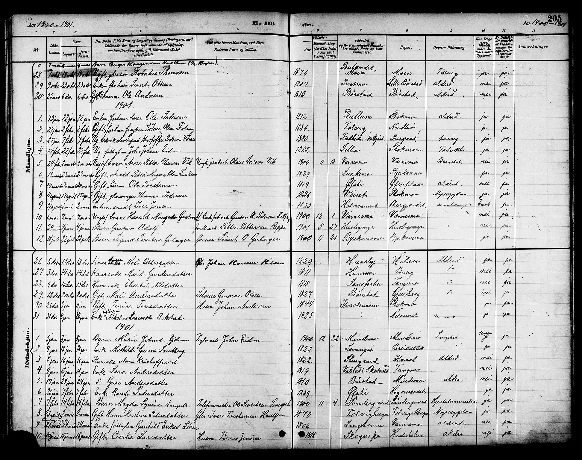 Ministerialprotokoller, klokkerbøker og fødselsregistre - Nord-Trøndelag, SAT/A-1458/709/L0087: Parish register (copy) no. 709C01, 1892-1913, p. 205
