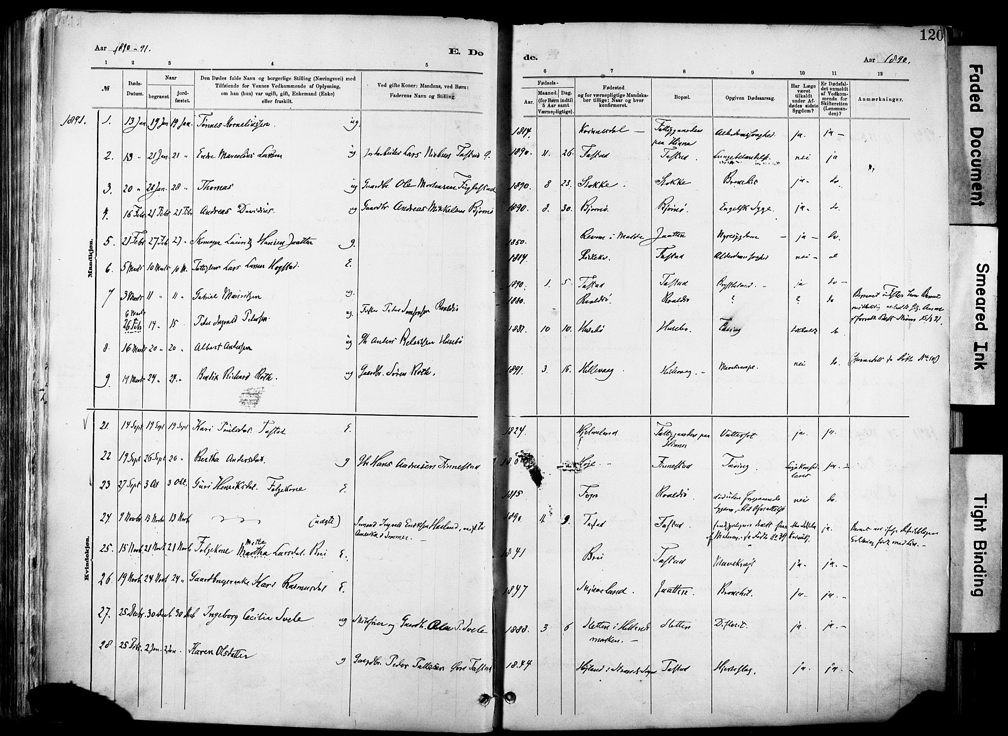 Hetland sokneprestkontor, AV/SAST-A-101826/30/30BA/L0012: Parish register (official) no. A 12, 1882-1912, p. 120