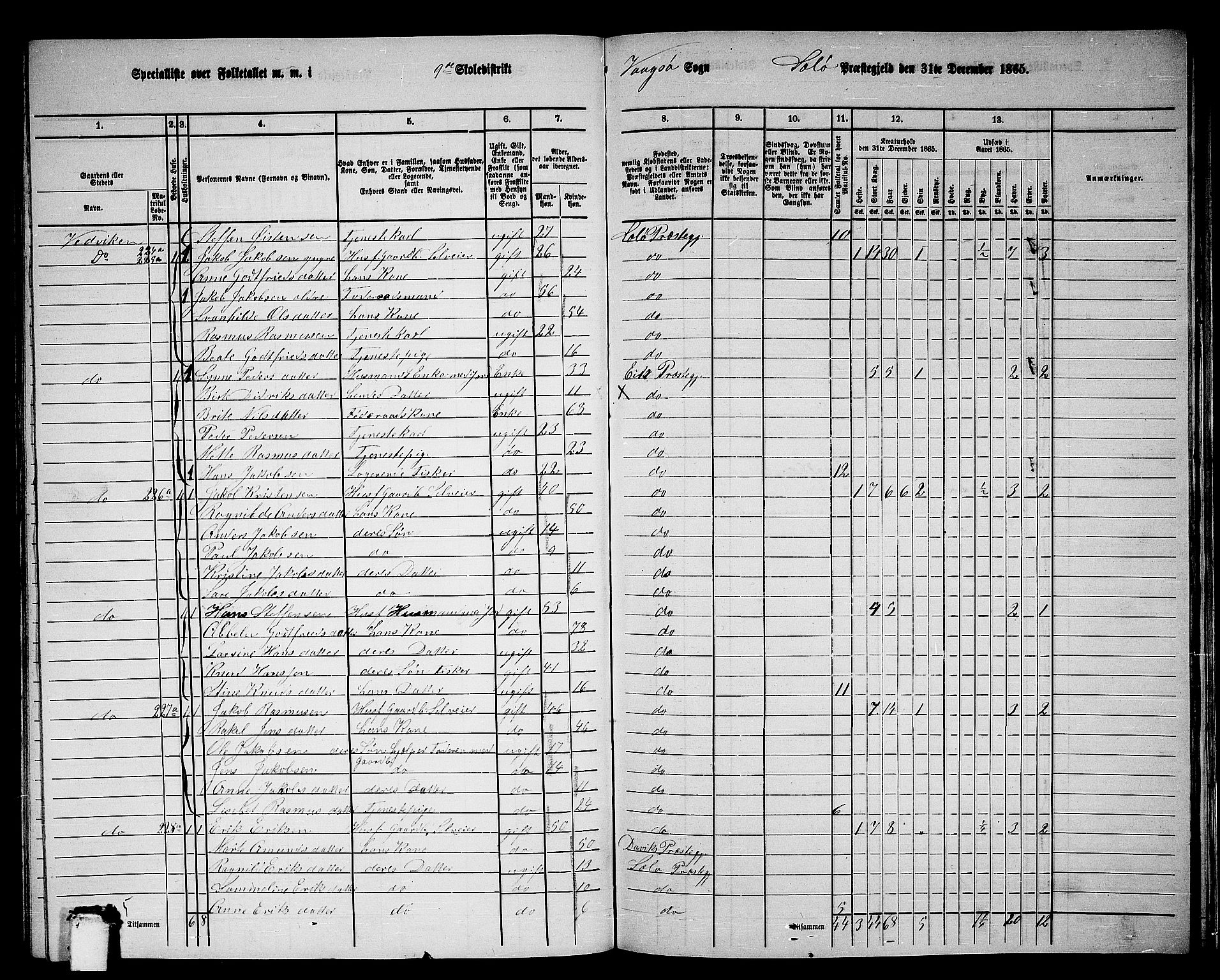 RA, 1865 census for Selje, 1865, p. 141