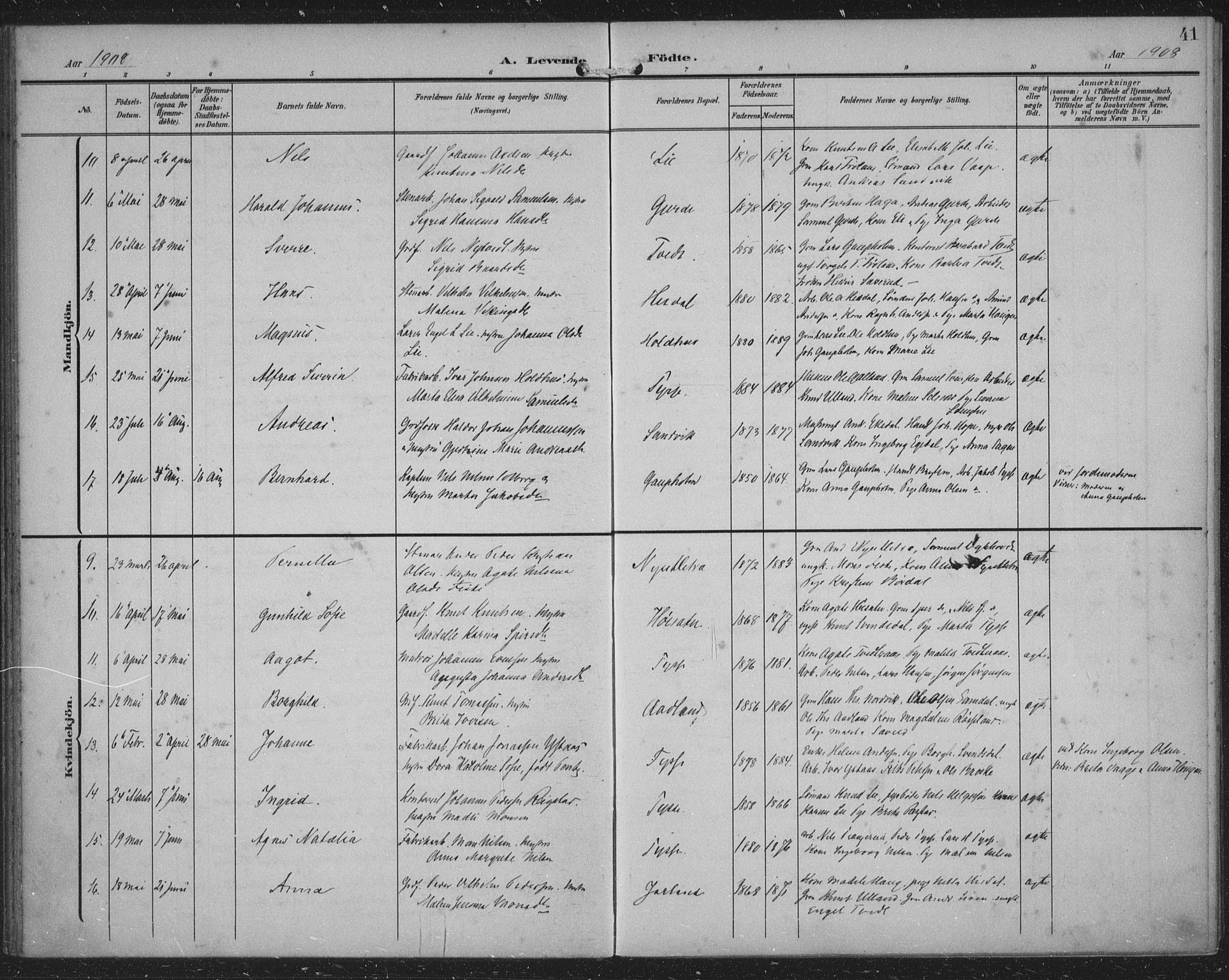 Samnanger Sokneprestembete, SAB/A-77501/H/Haa: Parish register (official) no. A 2, 1902-1918, p. 41