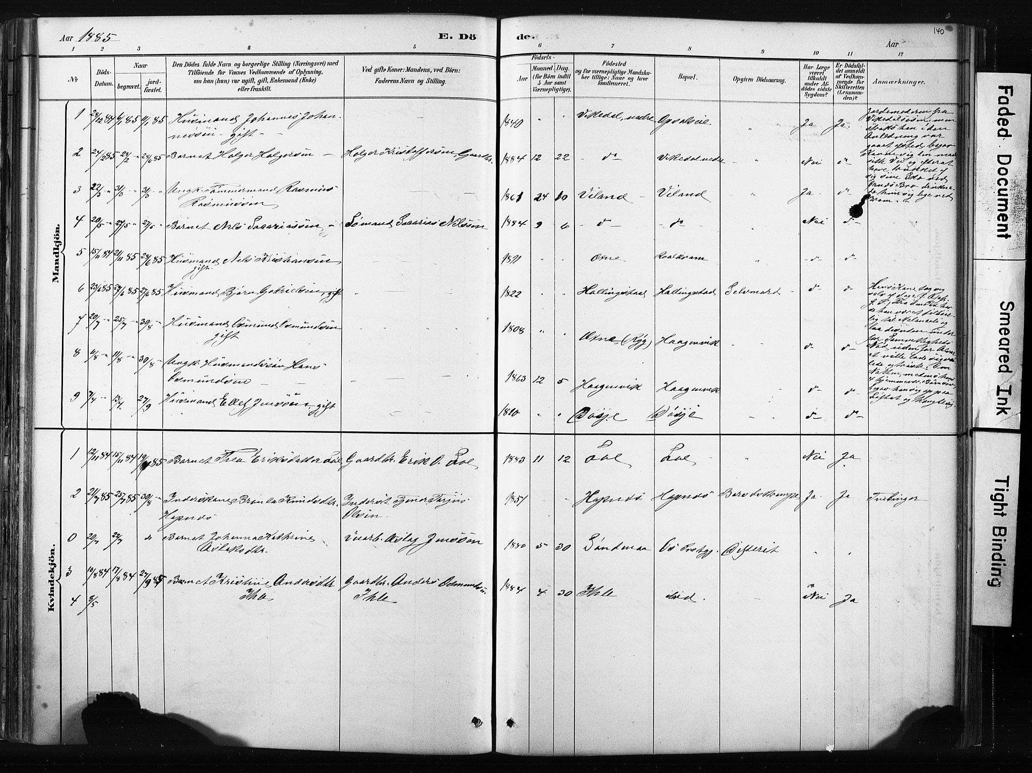 Vikedal sokneprestkontor, AV/SAST-A-101840/01/IV: Parish register (official) no. A 10, 1884-1907, p. 140