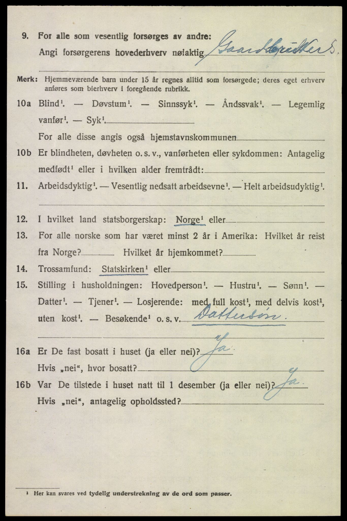 SAH, 1920 census for Tynset, 1920, p. 1617