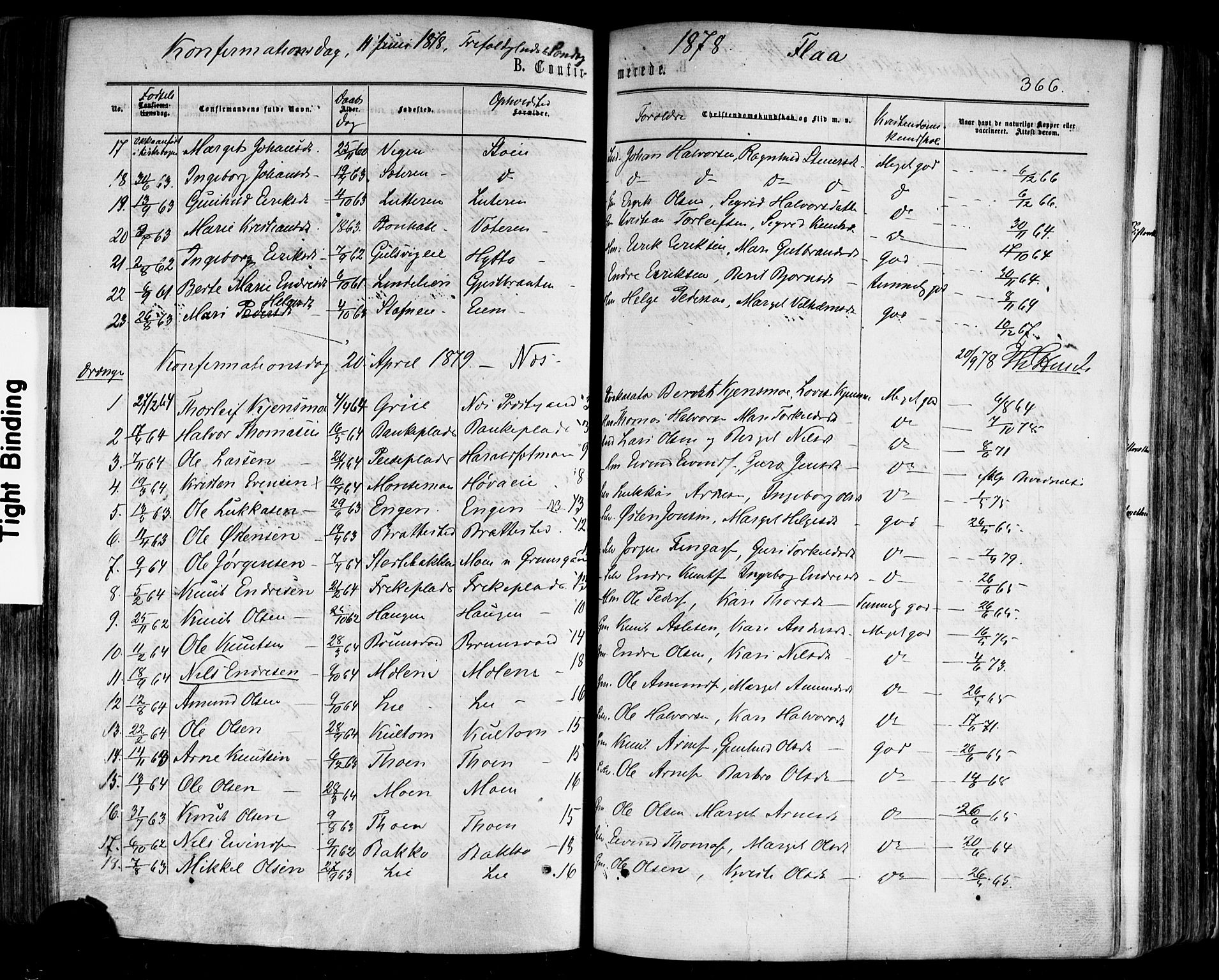 Nes kirkebøker, SAKO/A-236/F/Fa/L0010: Parish register (official) no. 10, 1864-1880, p. 366