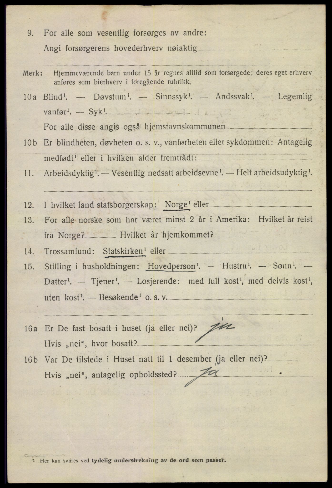 SAKO, 1920 census for Skien, 1920, p. 13539