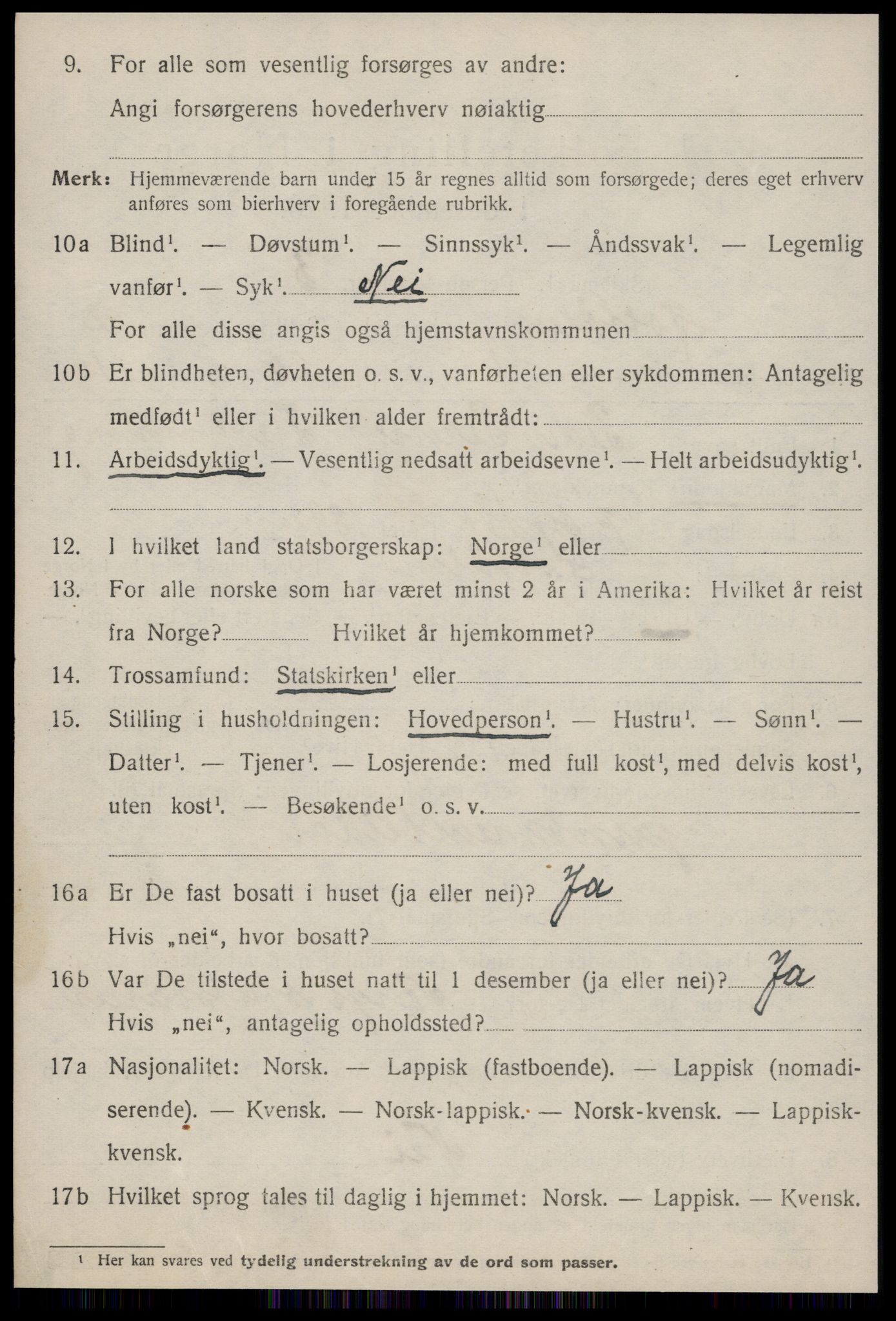 SAT, 1920 census for Haltdalen, 1920, p. 1019