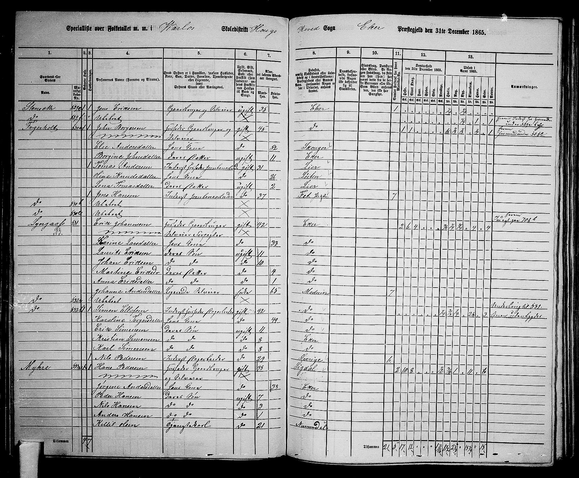 RA, 1865 census for Eiker, 1865, p. 145