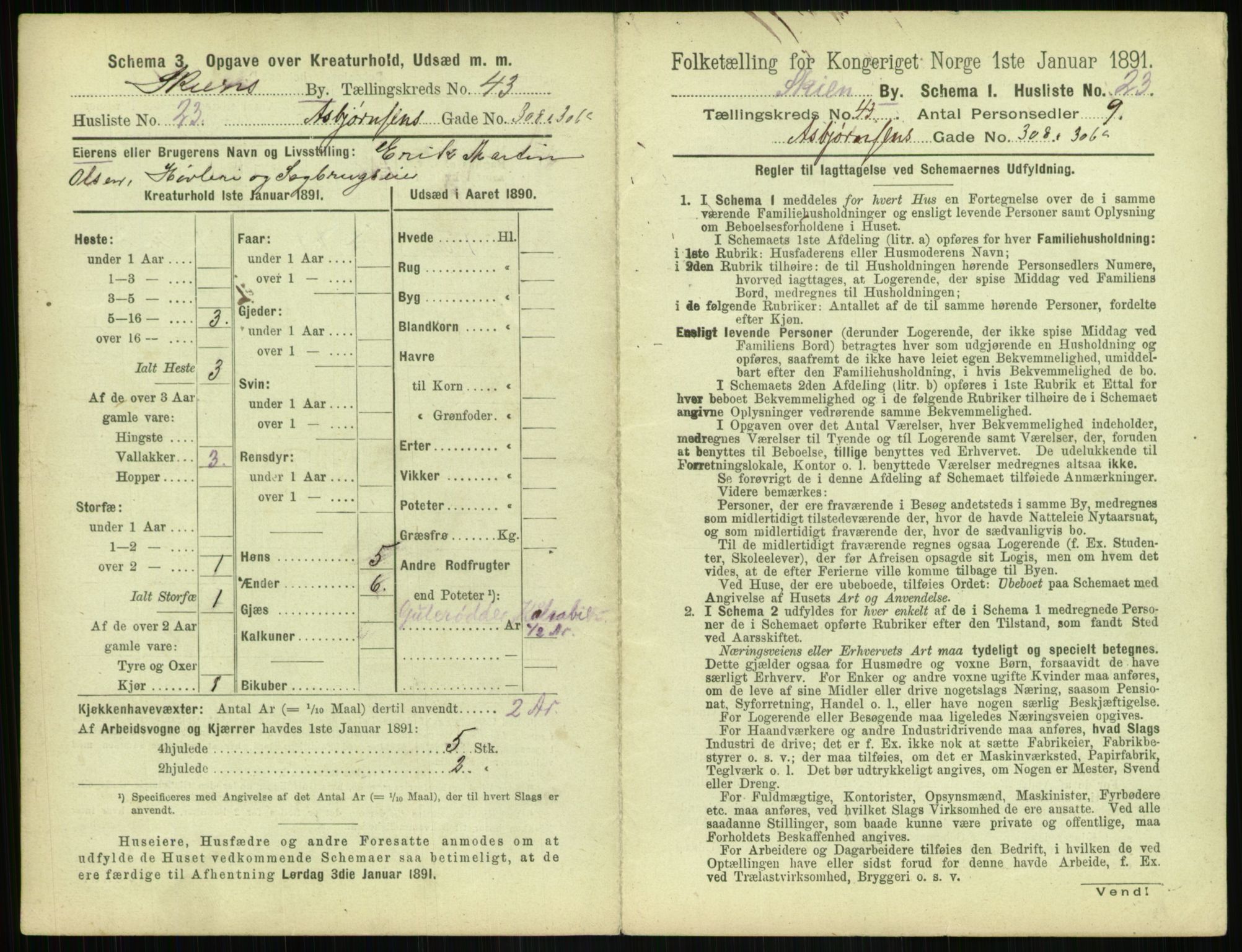 RA, 1891 census for 0806 Skien, 1891, p. 1528