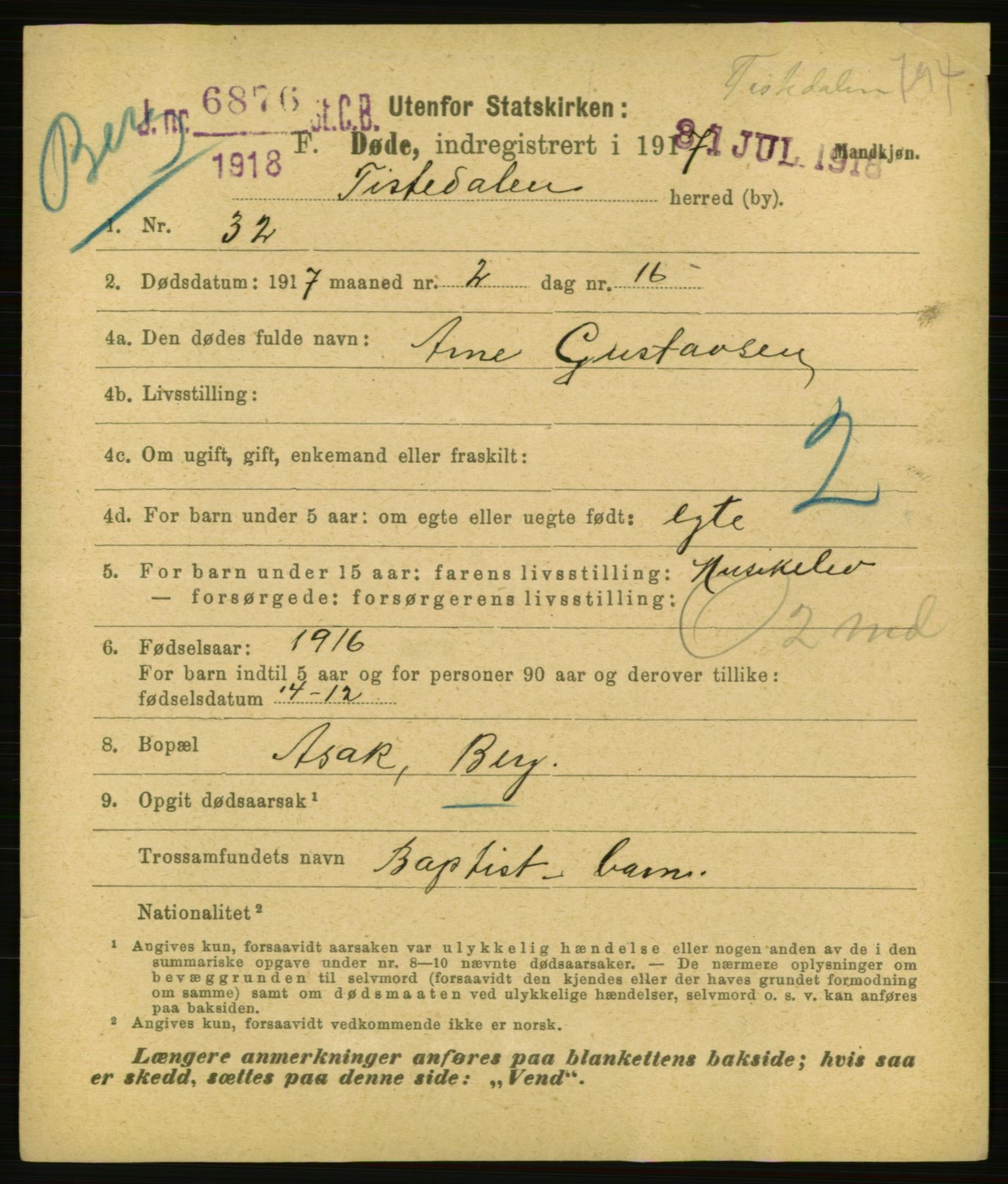 Statistisk sentralbyrå, Sosiodemografiske emner, Befolkning, AV/RA-S-2228/E/L0015: Fødte, gifte, døde dissentere., 1917, p. 2507