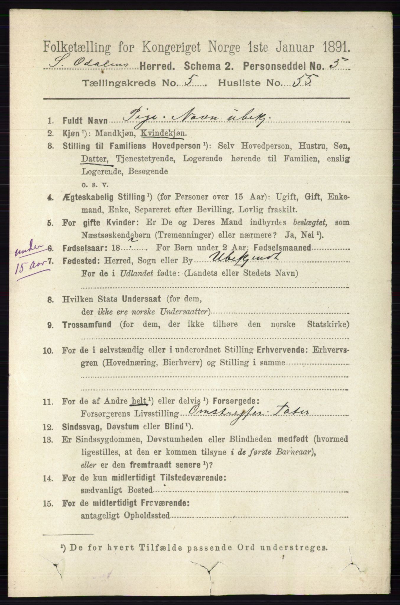 RA, 1891 census for 0419 Sør-Odal, 1891, p. 2673