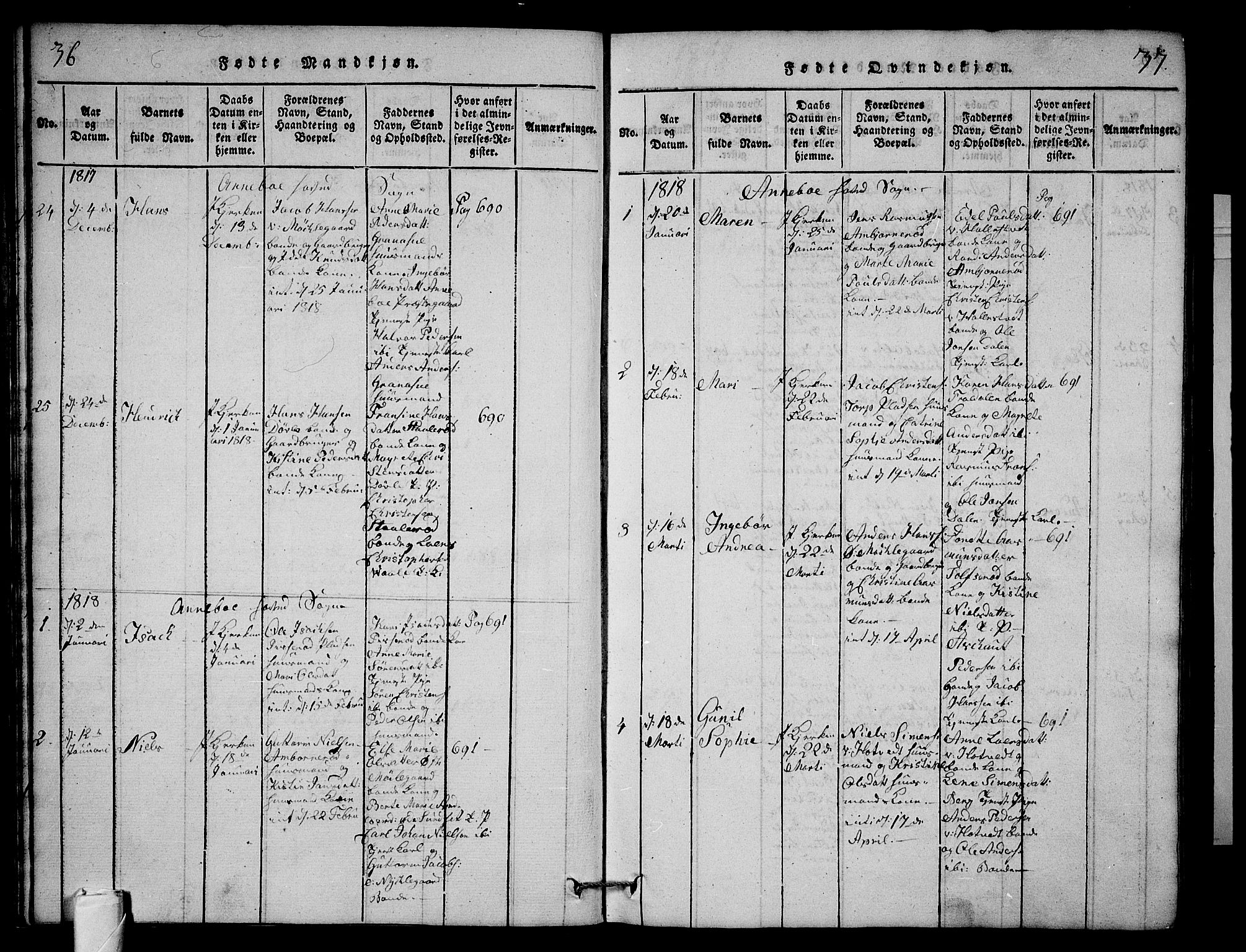 Andebu kirkebøker, AV/SAKO-A-336/G/Ga/L0001: Parish register (copy) no. I 1 /1, 1815-1823, p. 36-37