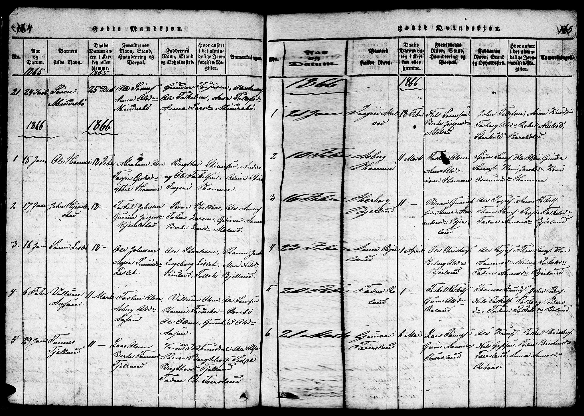 Bjelland sokneprestkontor, SAK/1111-0005/F/Fb/Fba/L0003: Parish register (copy) no. B 3, 1816-1870, p. 164-165