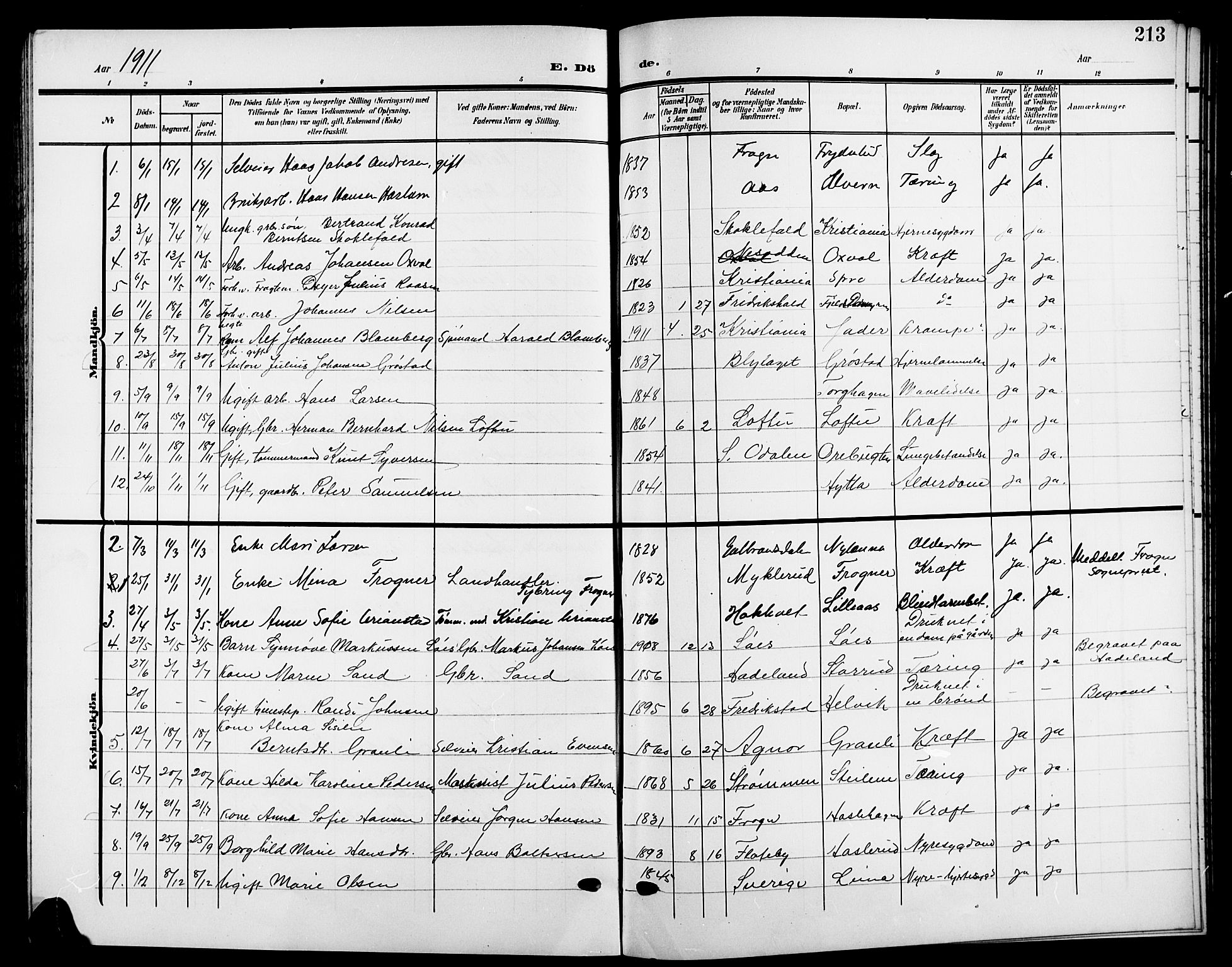 Nesodden prestekontor Kirkebøker, SAO/A-10013/G/Ga/L0002: Parish register (copy) no. I 2, 1905-1924, p. 213