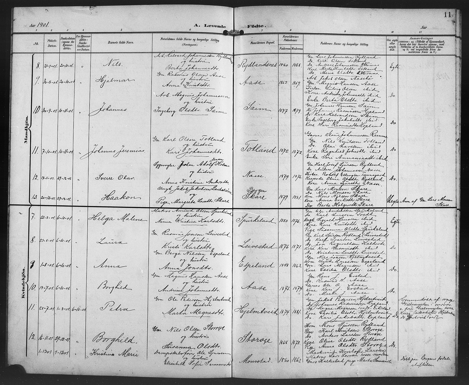 Alversund Sokneprestembete, SAB/A-73901/H/Ha/Haa/Haad/L0003: Parish register (official) no. D 3, 1899-1908, p. 11