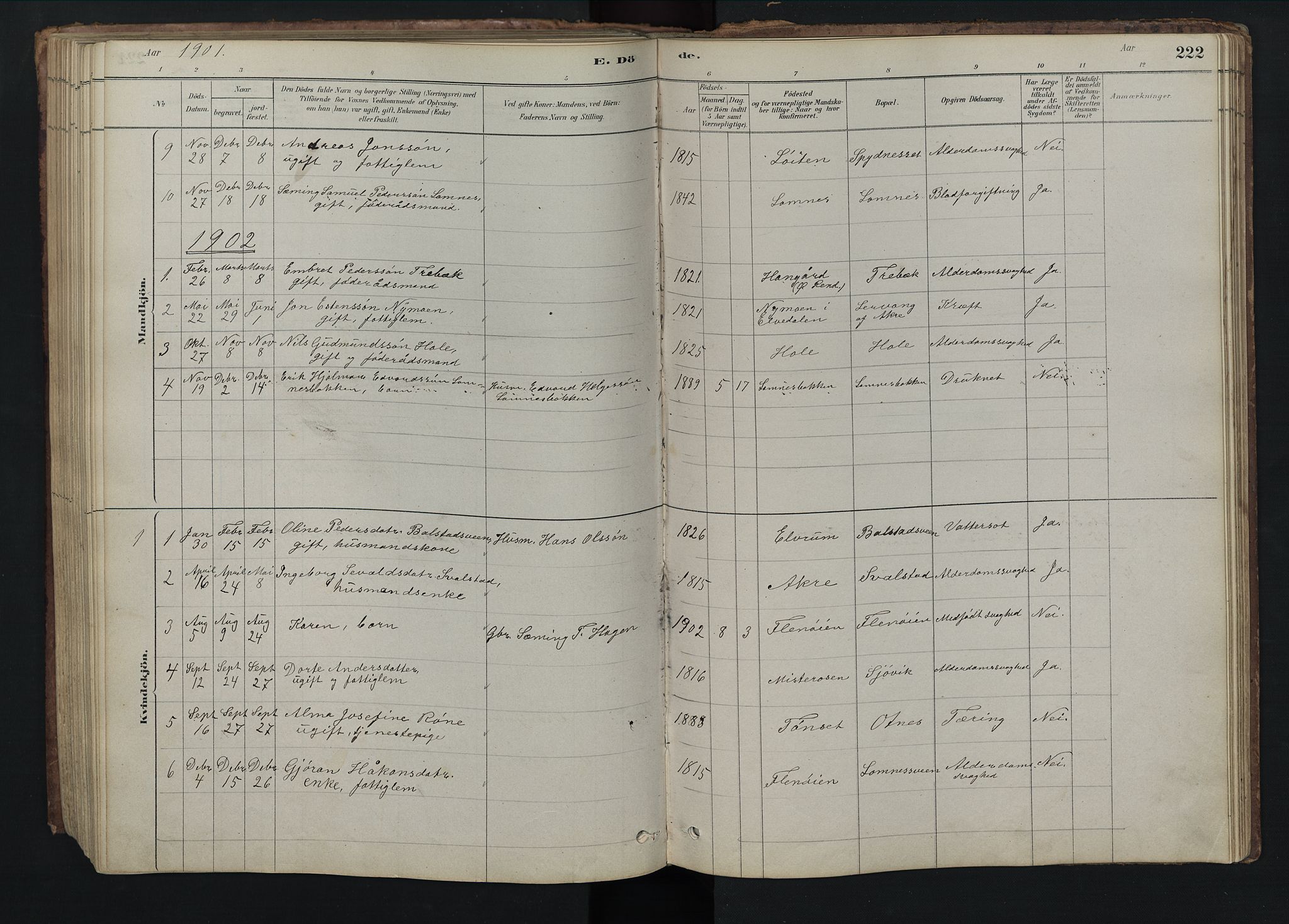 Rendalen prestekontor, SAH/PREST-054/H/Ha/Hab/L0009: Parish register (copy) no. 9, 1879-1902, p. 222