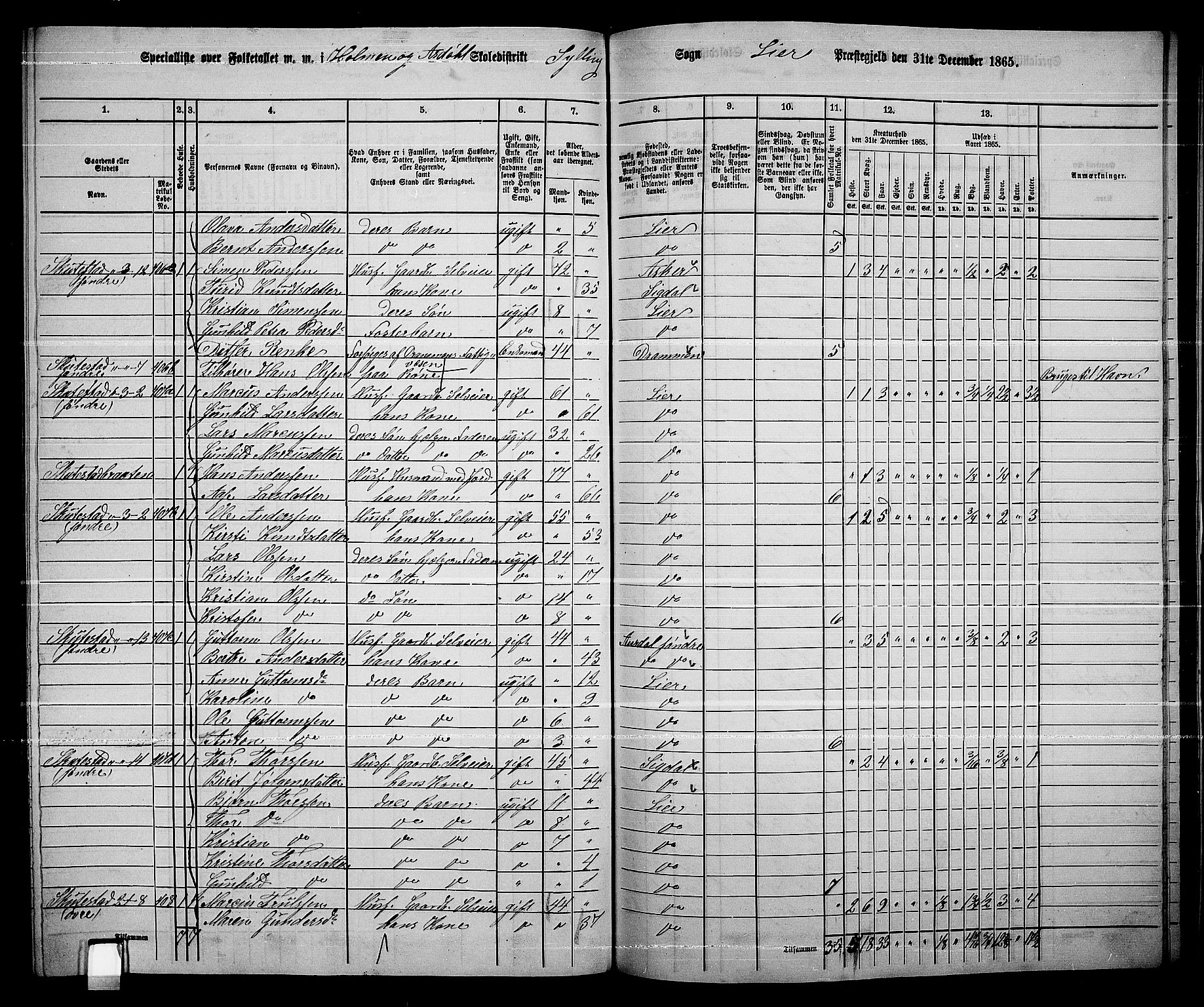 RA, 1865 census for Lier, 1865, p. 233