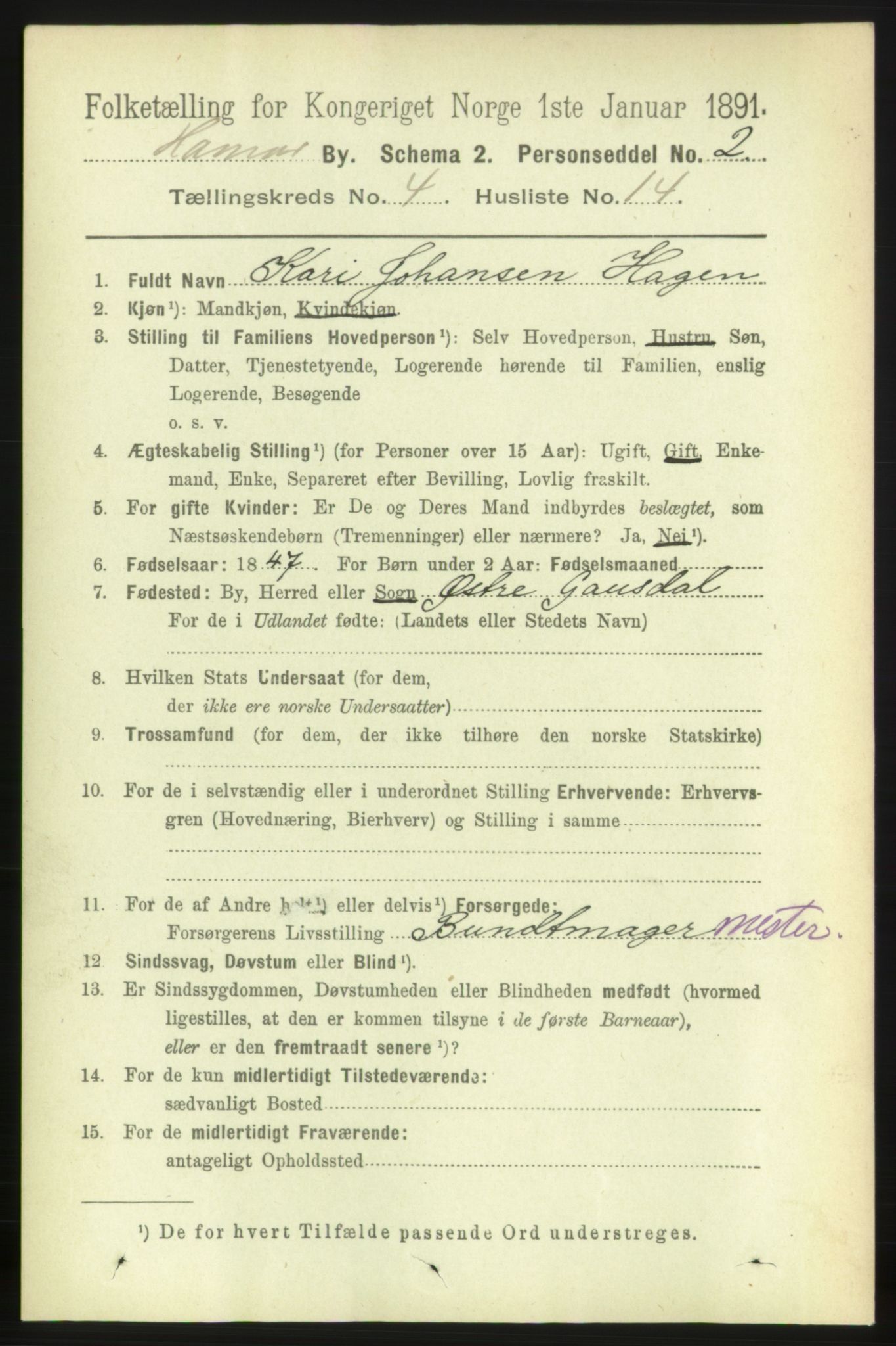 RA, 1891 census for 0401 Hamar, 1891, p. 3027