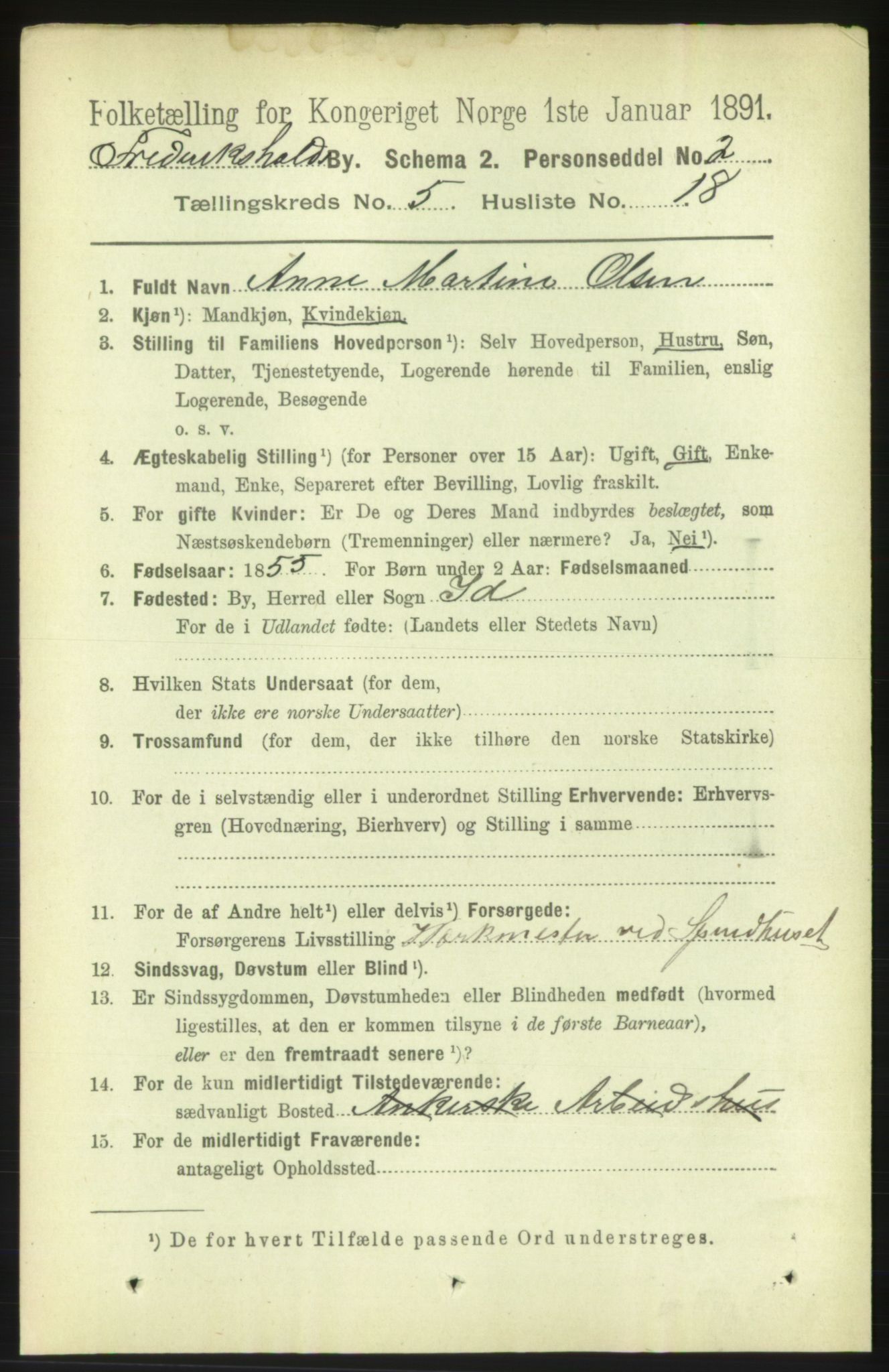 RA, 1891 census for 0101 Fredrikshald, 1891, p. 4204