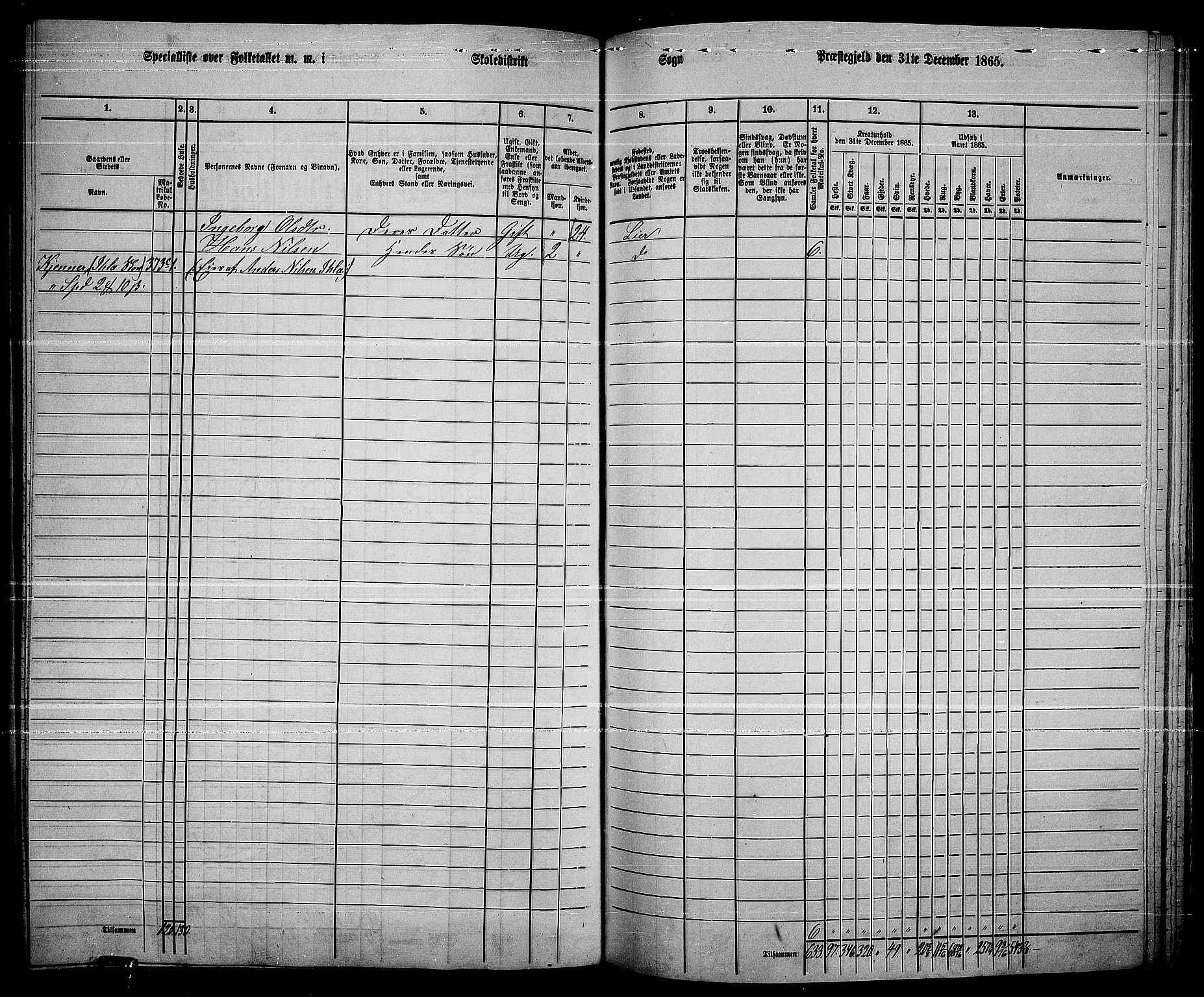 RA, 1865 census for Lier, 1865, p. 203