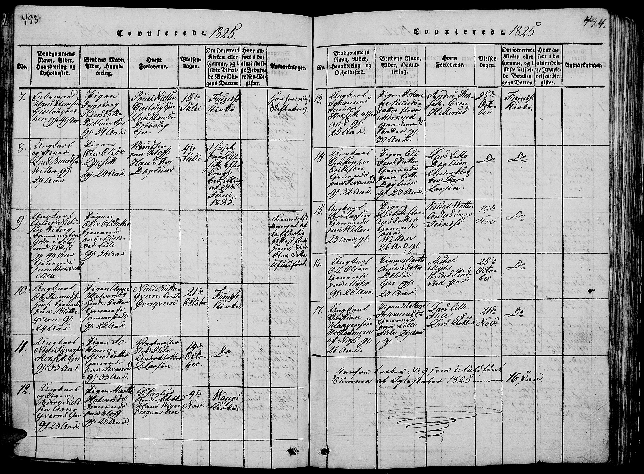 Vang prestekontor, Hedmark, AV/SAH-PREST-008/H/Ha/Hab/L0005: Parish register (copy) no. 5, 1815-1836, p. 493-494