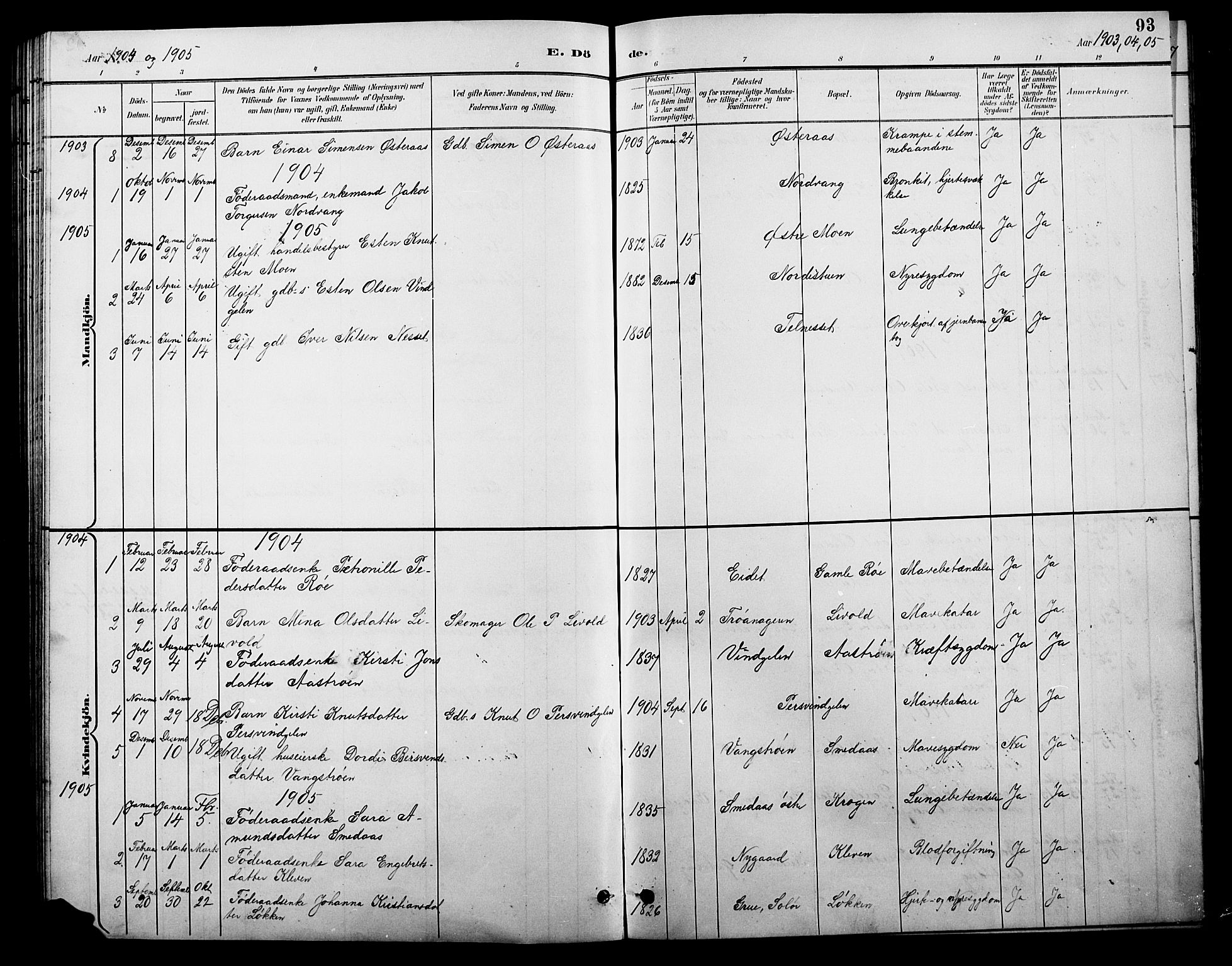 Tolga prestekontor, AV/SAH-PREST-062/L/L0010: Parish register (copy) no. 10, 1894-1918, p. 93