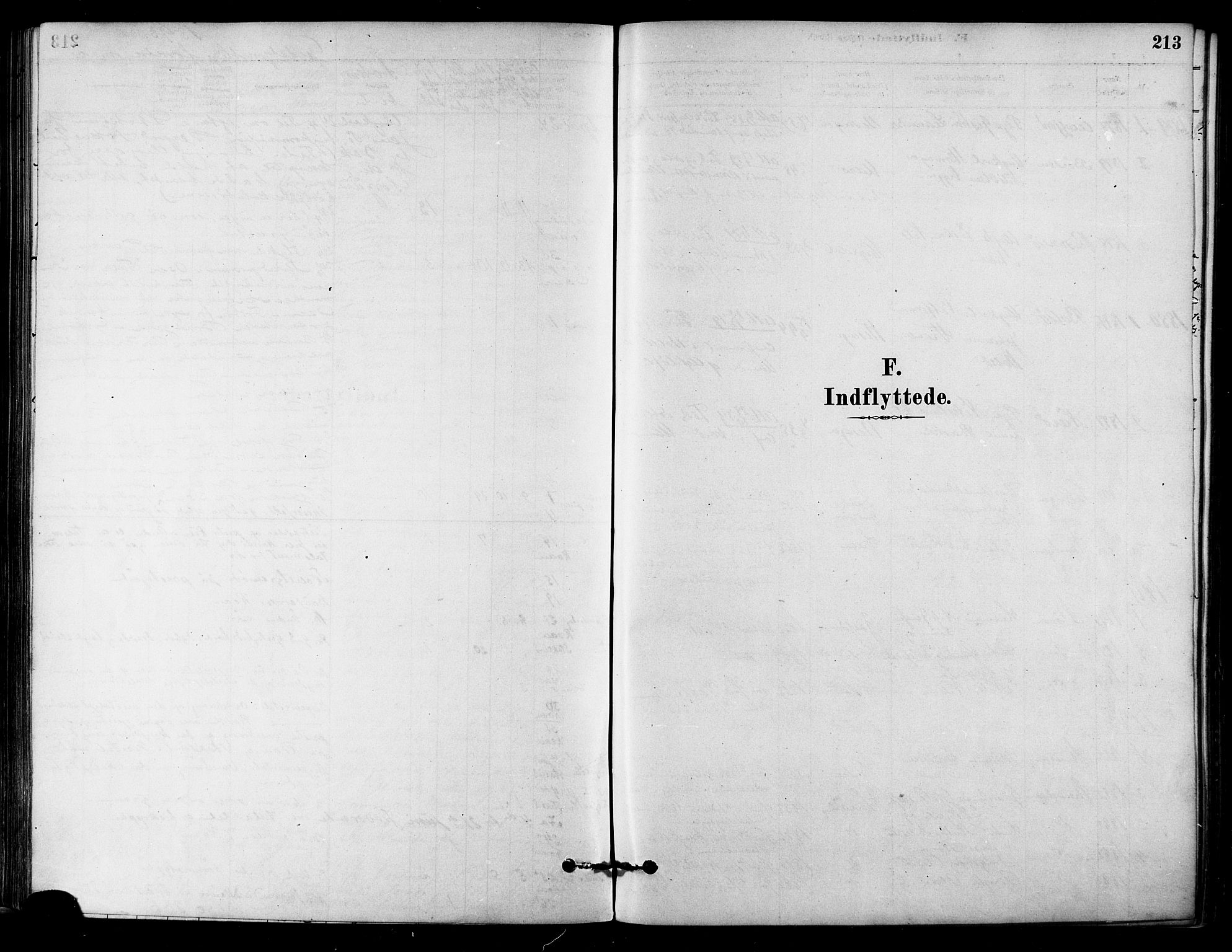 Ministerialprotokoller, klokkerbøker og fødselsregistre - Sør-Trøndelag, SAT/A-1456/657/L0707: Parish register (official) no. 657A08, 1879-1893, p. 213