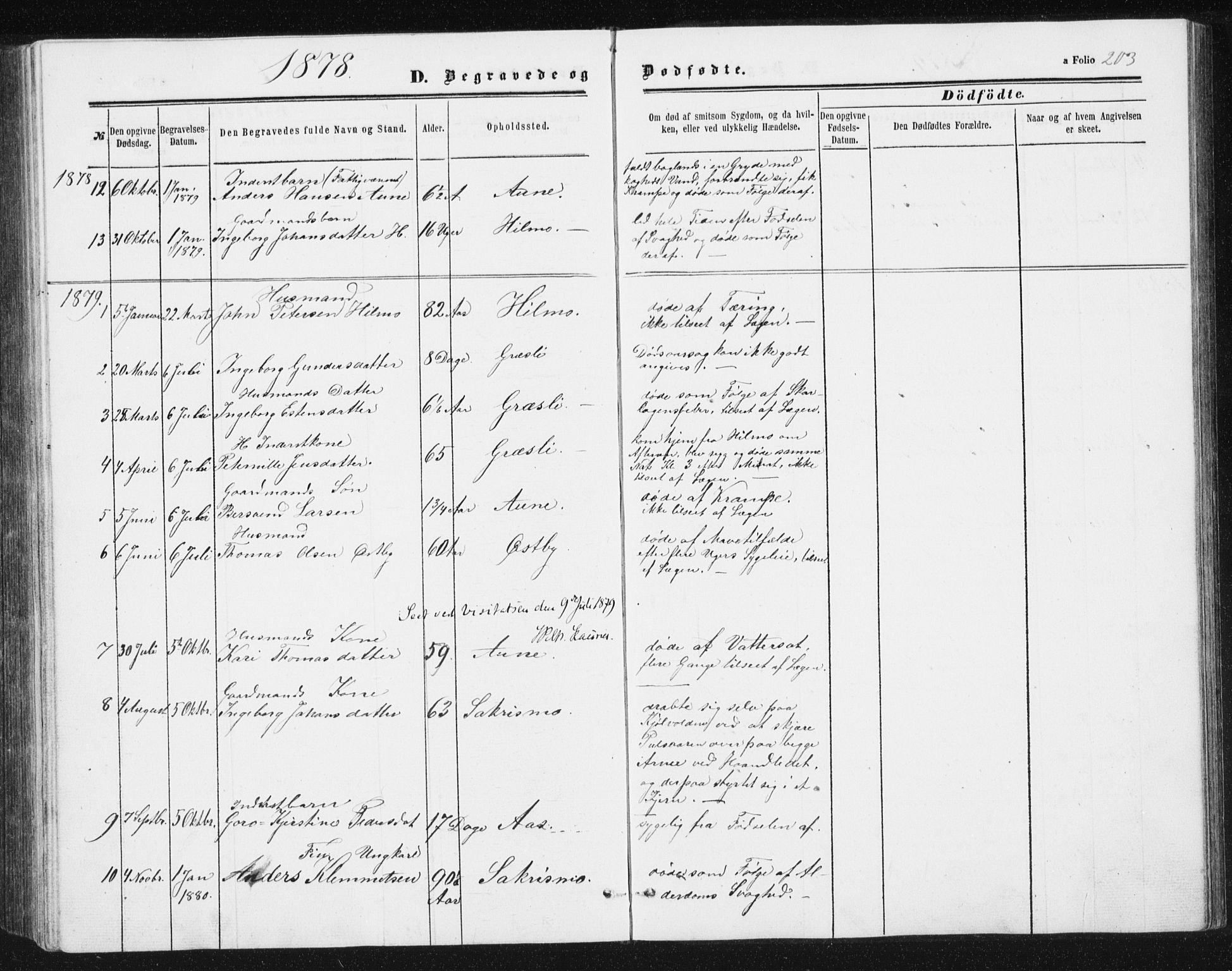 Ministerialprotokoller, klokkerbøker og fødselsregistre - Sør-Trøndelag, SAT/A-1456/698/L1166: Parish register (copy) no. 698C03, 1861-1887, p. 203