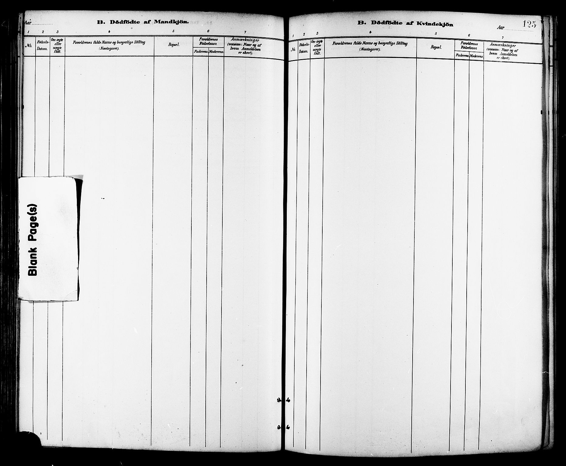 Ministerialprotokoller, klokkerbøker og fødselsregistre - Nordland, AV/SAT-A-1459/872/L1035: Parish register (official) no. 872A10, 1884-1896, p. 125