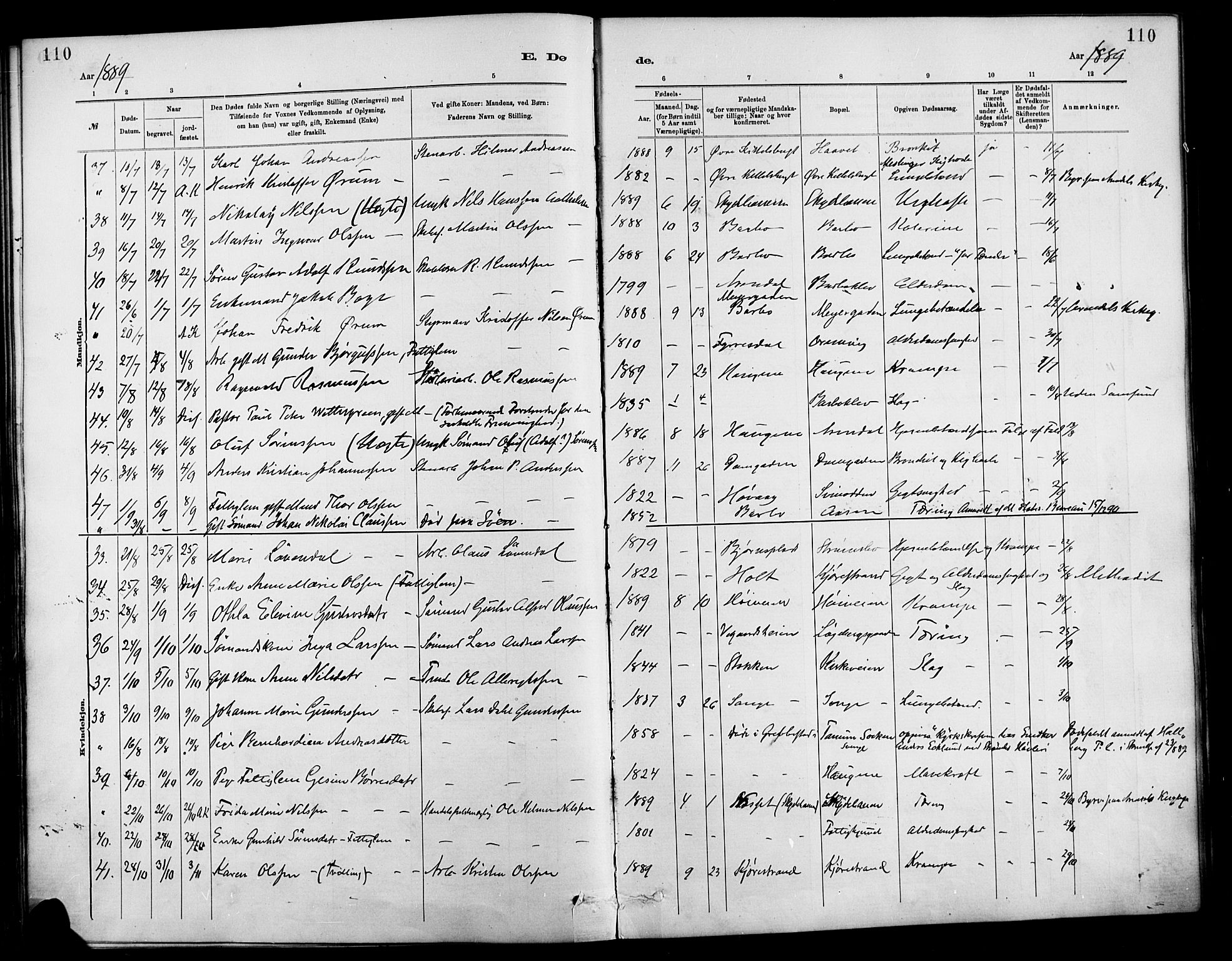 Barbu sokneprestkontor, AV/SAK-1111-0003/F/Fa/L0003: Parish register (official) no. A 3, 1883-1898, p. 110