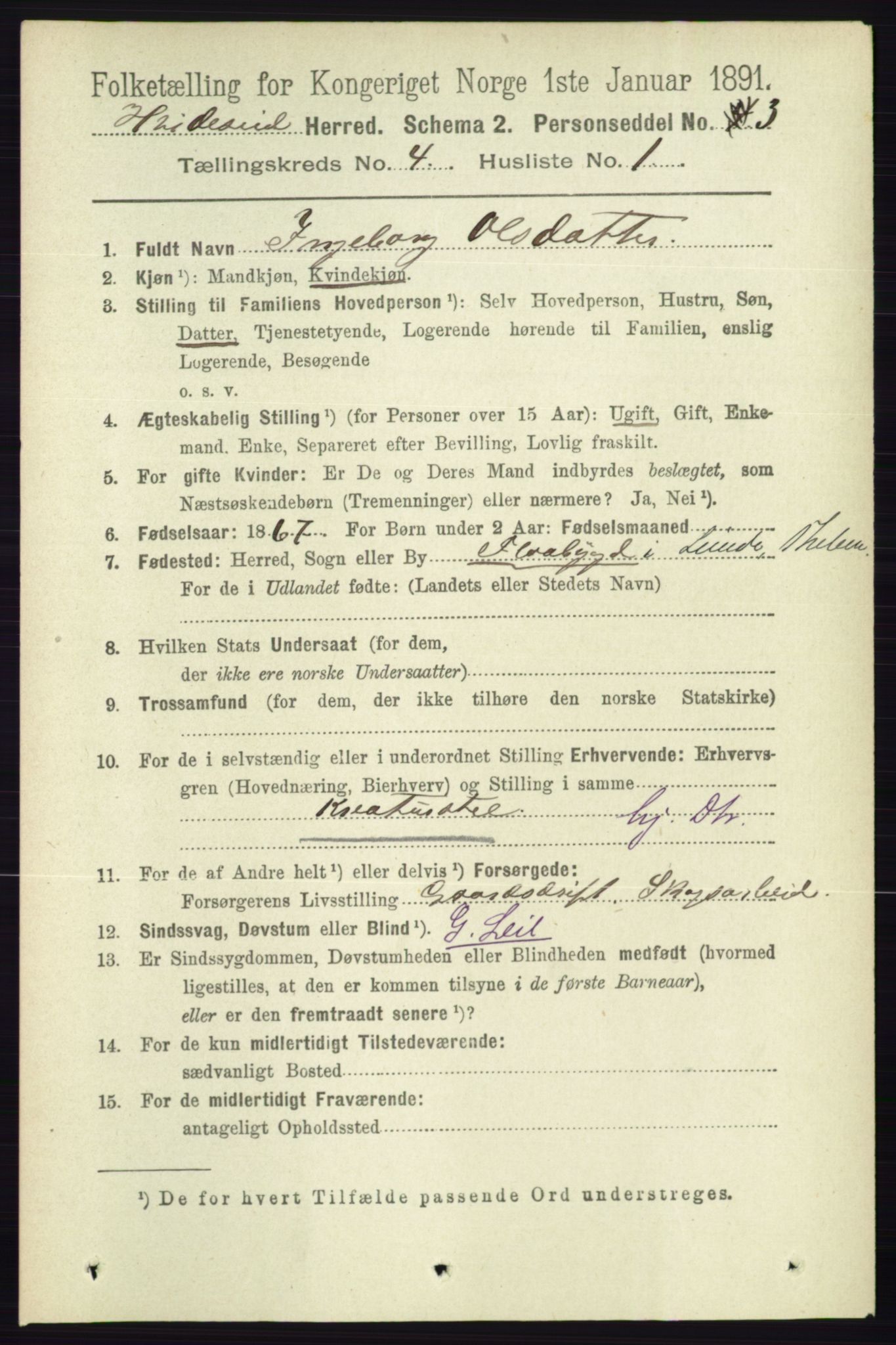 RA, 1891 census for 0829 Kviteseid, 1891, p. 729