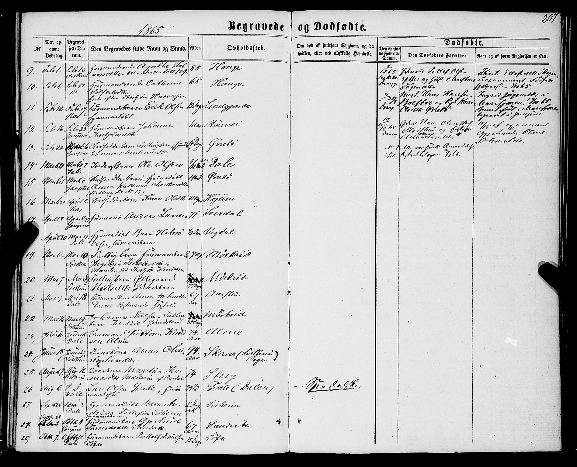 Luster sokneprestembete, AV/SAB-A-81101/H/Haa/Haaa/L0008: Parish register (official) no. A 8, 1860-1870, p. 207