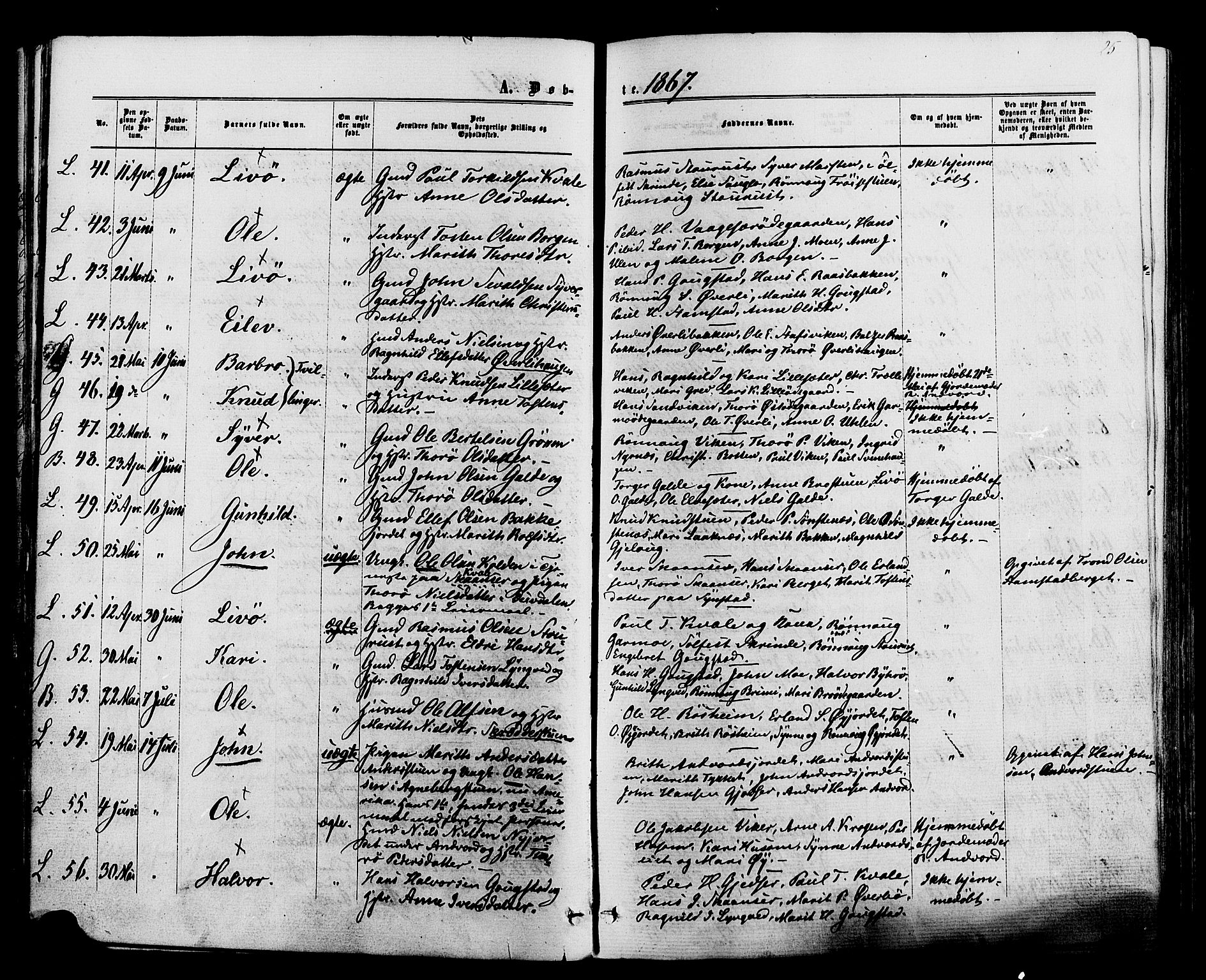 Lom prestekontor, AV/SAH-PREST-070/K/L0007: Parish register (official) no. 7, 1863-1884, p. 25