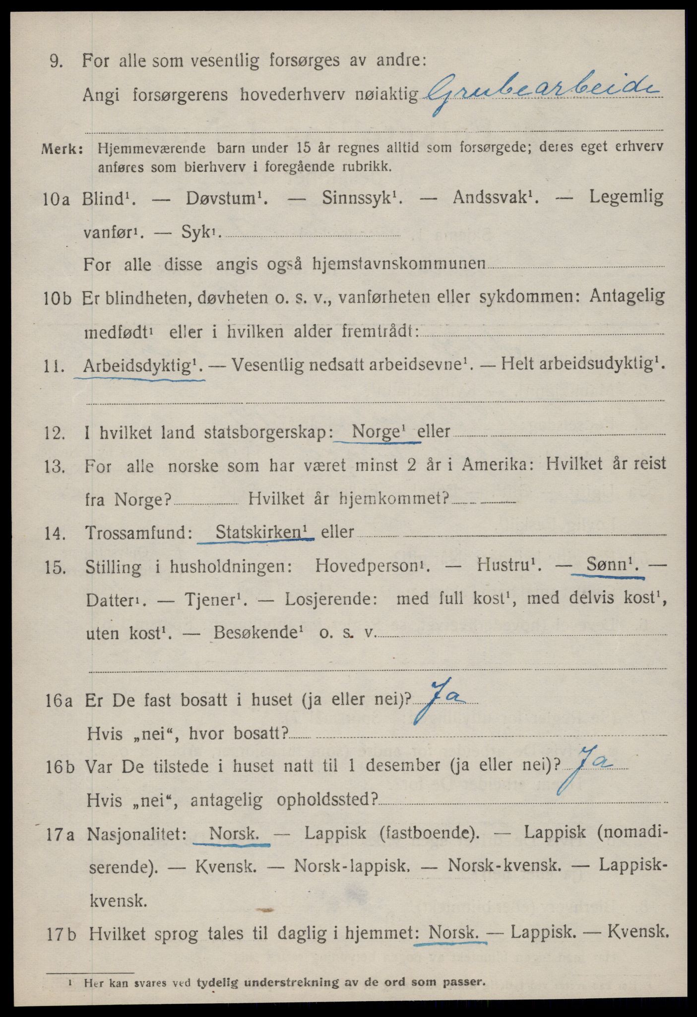 SAT, 1920 census for Røros, 1920, p. 8195