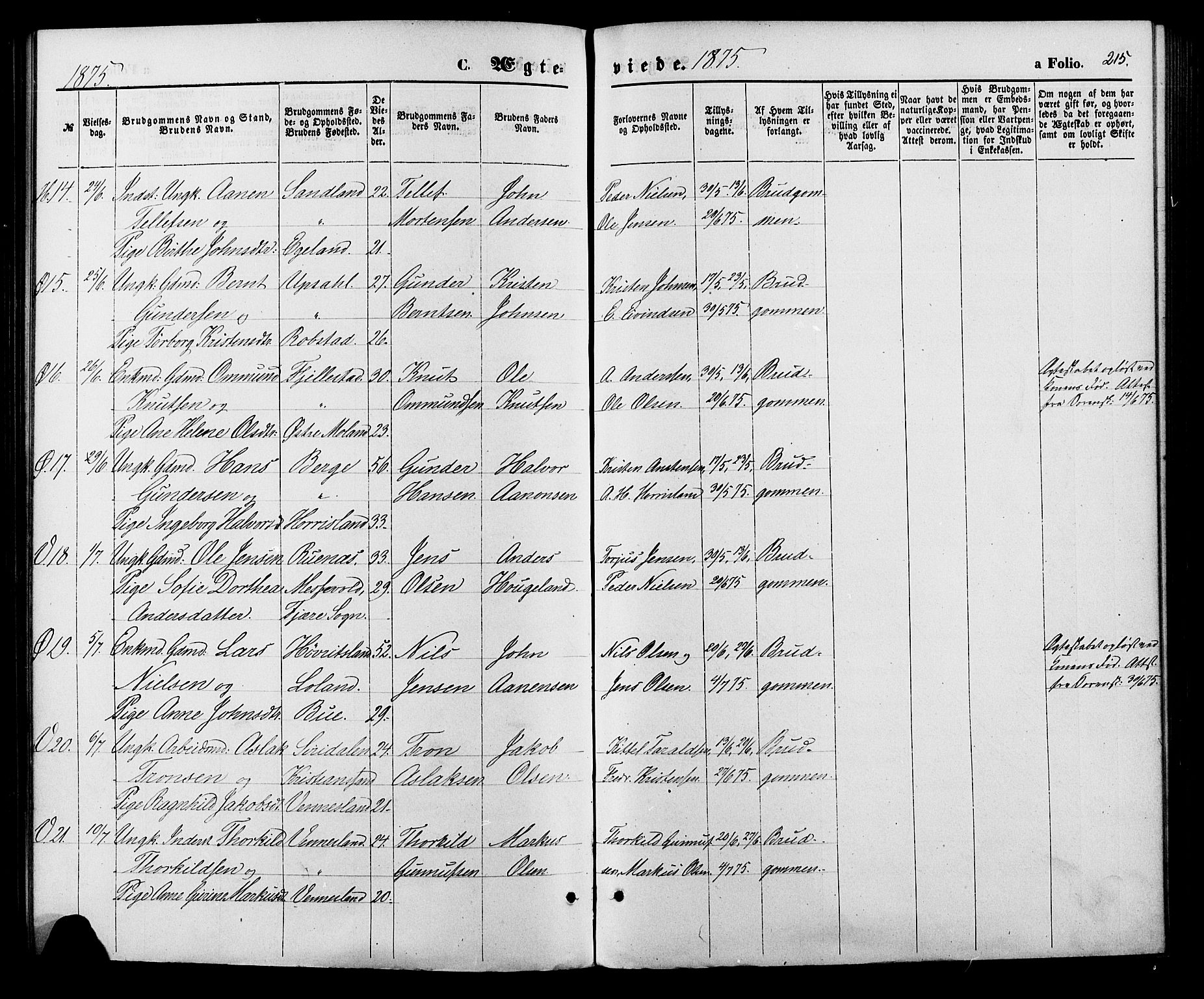 Vennesla sokneprestkontor, AV/SAK-1111-0045/Fa/Fac/L0008: Parish register (official) no. A 8, 1874-1883, p. 215