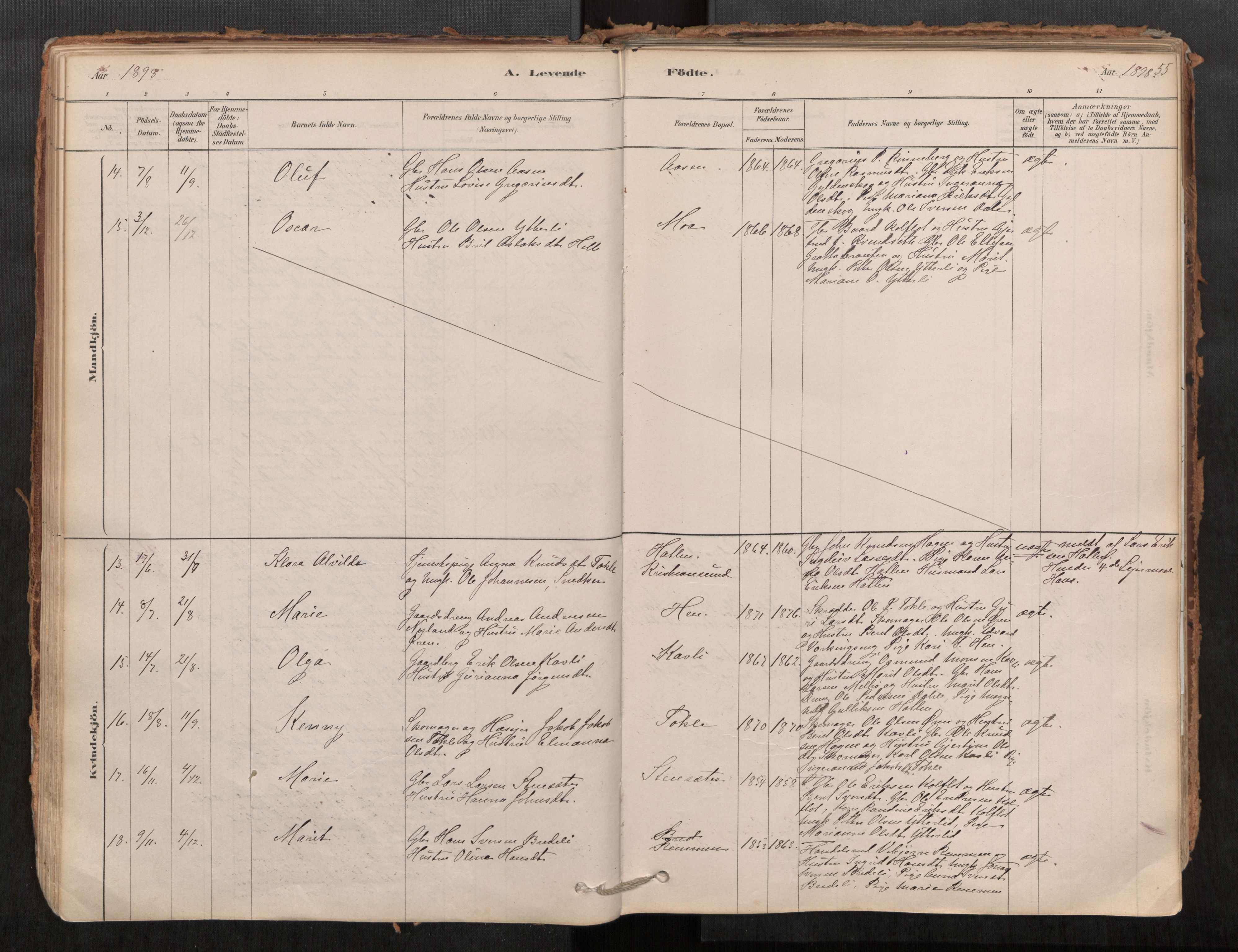 Ministerialprotokoller, klokkerbøker og fødselsregistre - Møre og Romsdal, AV/SAT-A-1454/545/L0594: Parish register (official) no. 545A03, 1878-1920, p. 55