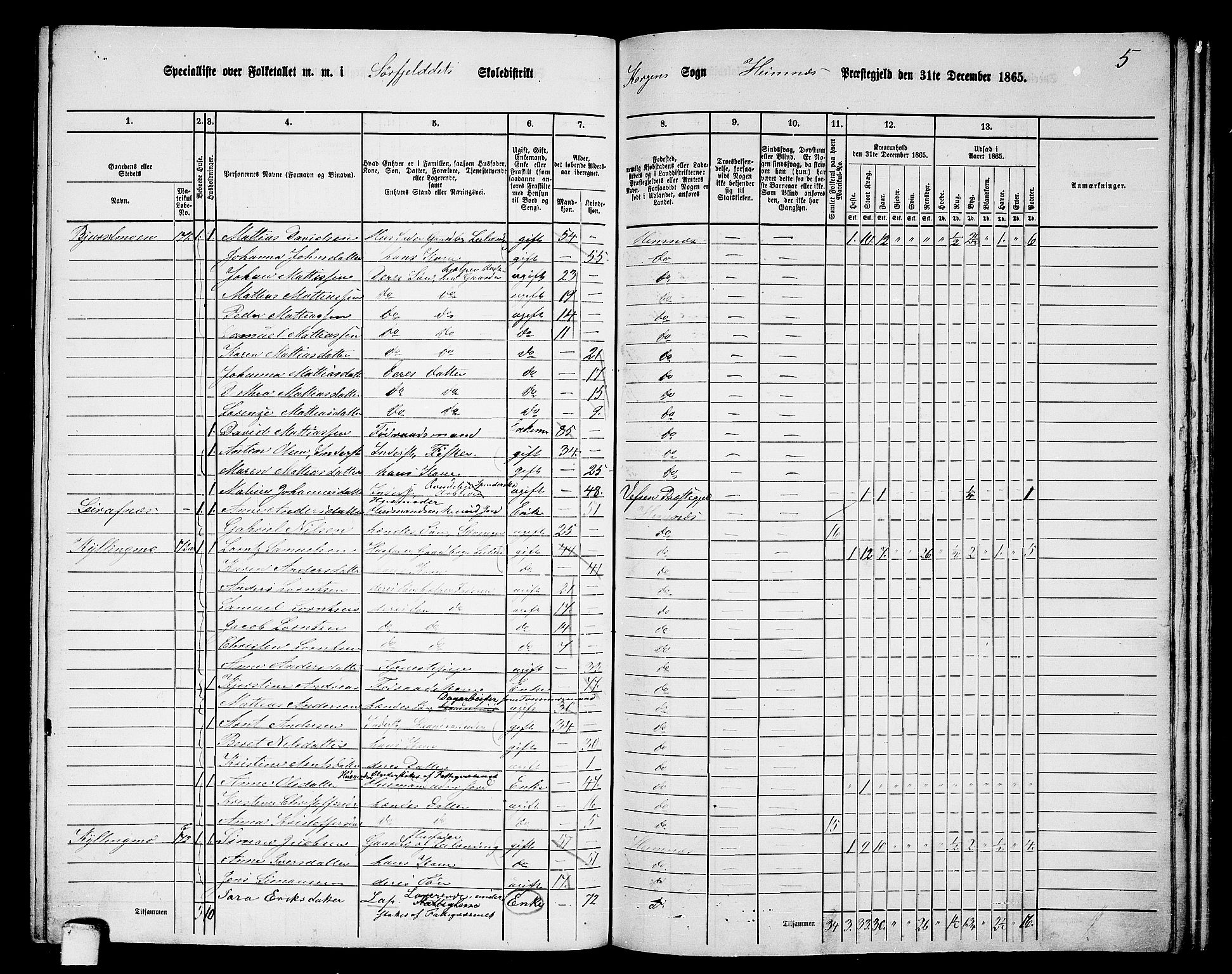RA, 1865 census for Hemnes, 1865, p. 133