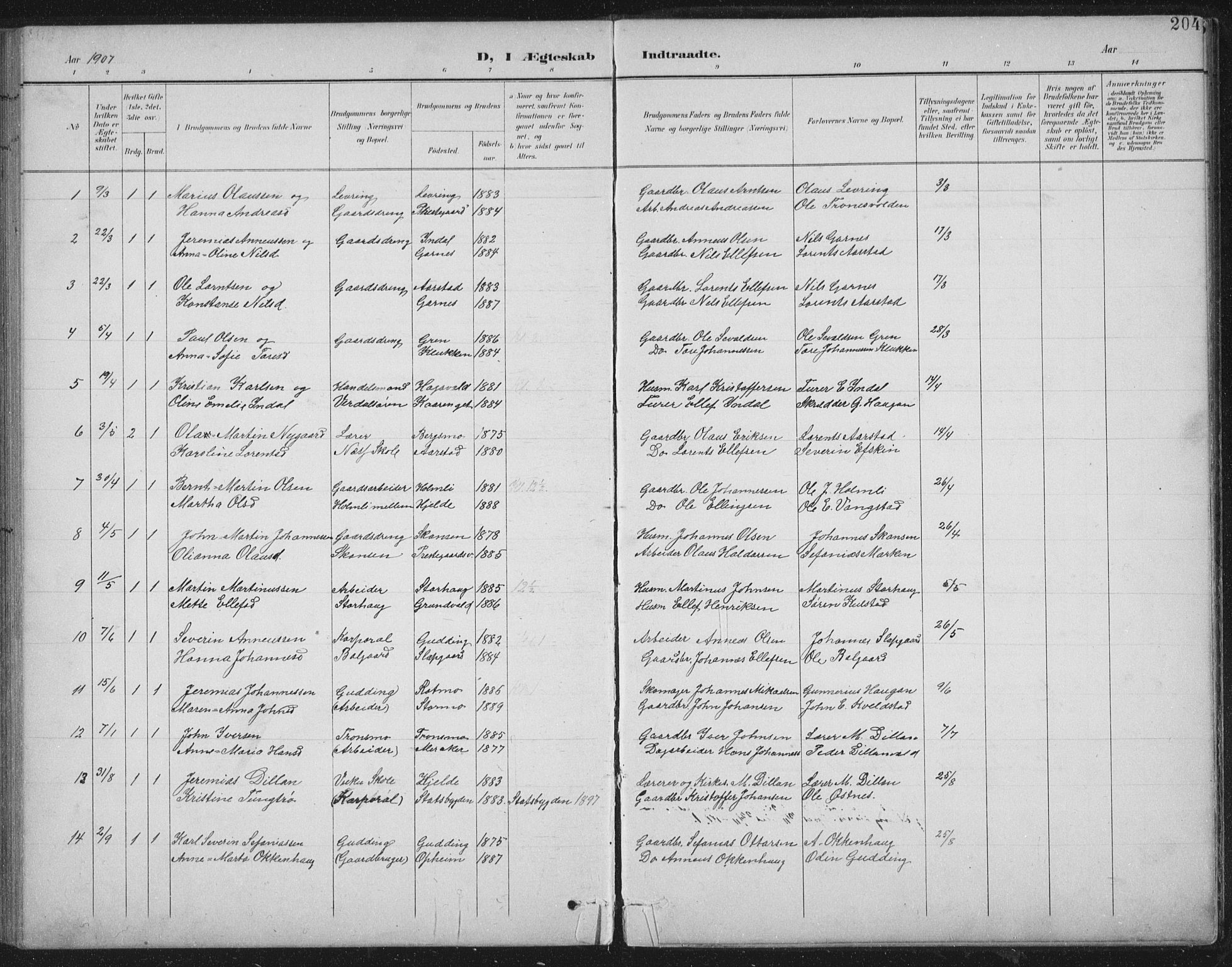 Ministerialprotokoller, klokkerbøker og fødselsregistre - Nord-Trøndelag, AV/SAT-A-1458/724/L0269: Parish register (copy) no. 724C05, 1899-1920, p. 204