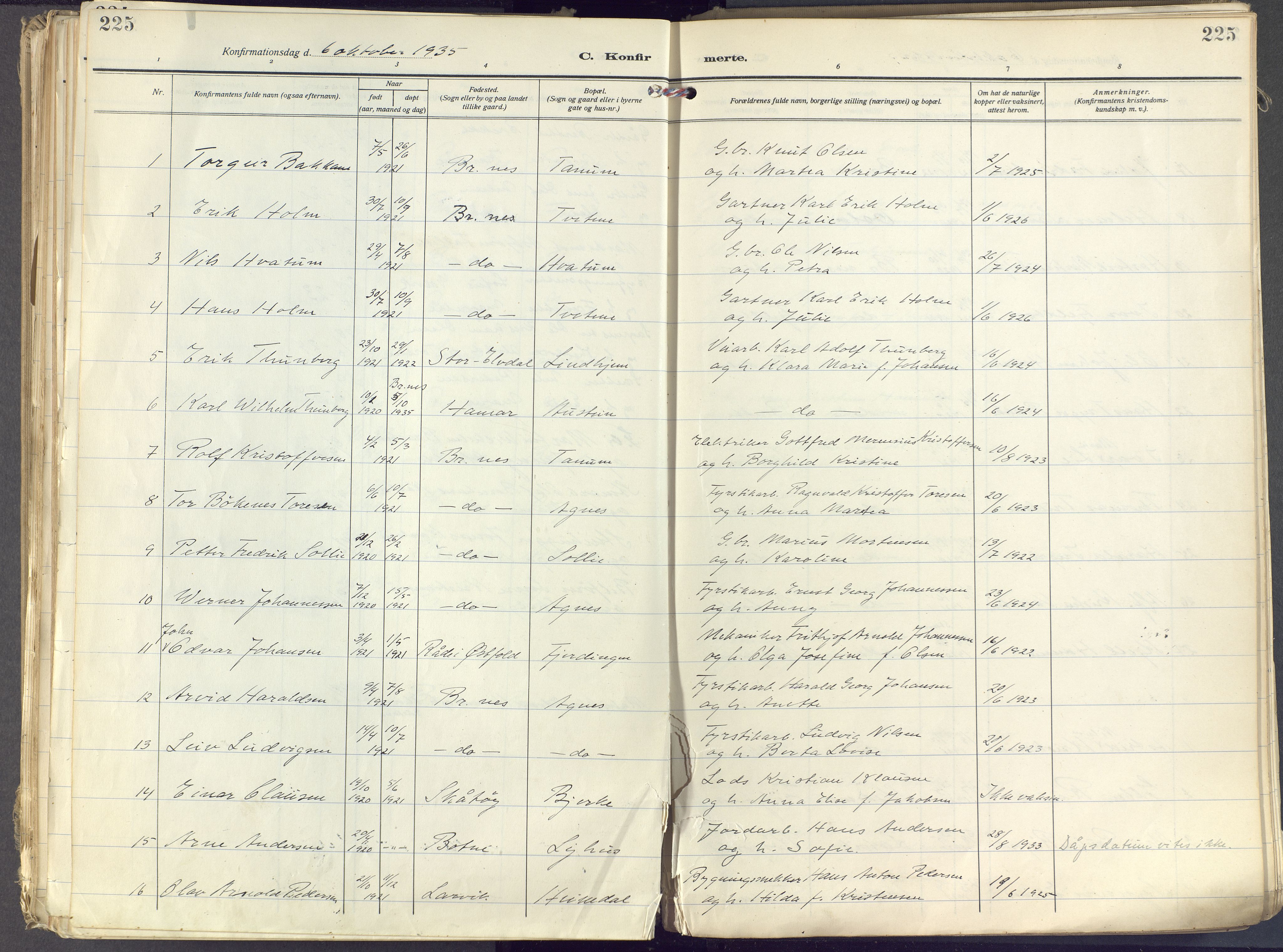Brunlanes kirkebøker, AV/SAKO-A-342/F/Fc/L0004: Parish register (official) no. III 4, 1923-1943, p. 225