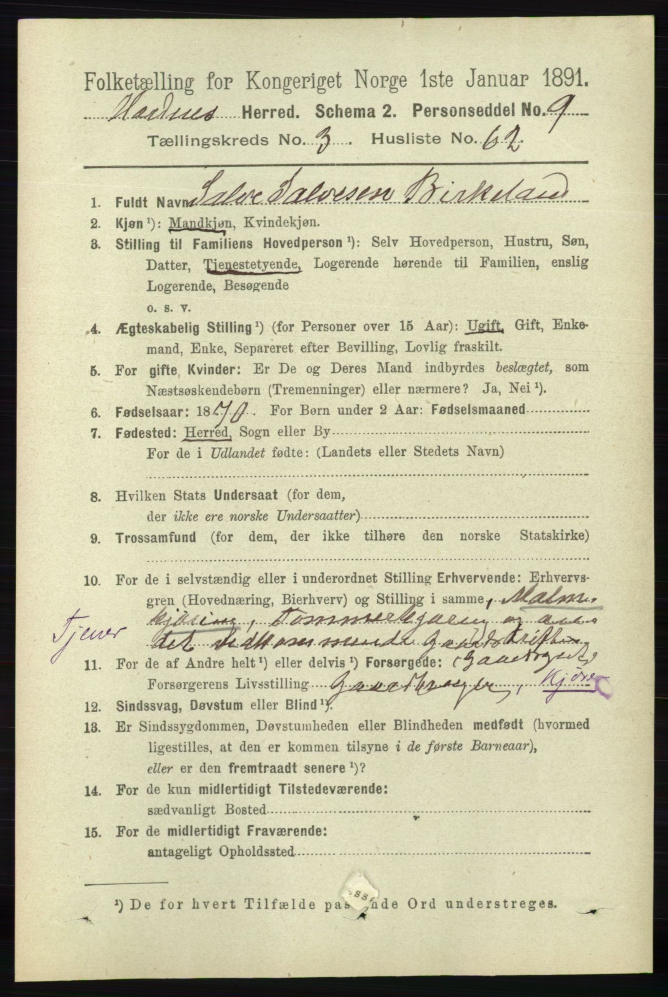 RA, 1891 census for 0936 Hornnes, 1891, p. 1001